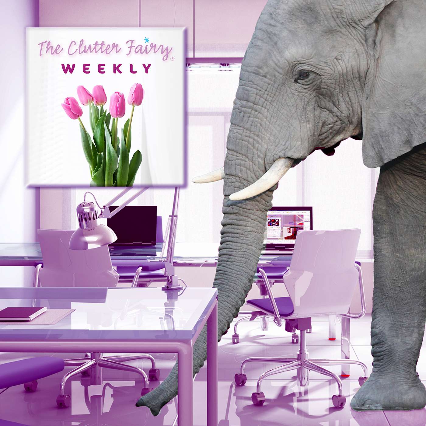 The Clutter Fairy Weekly #37 - One Bite at a Time: Clutter and Habits