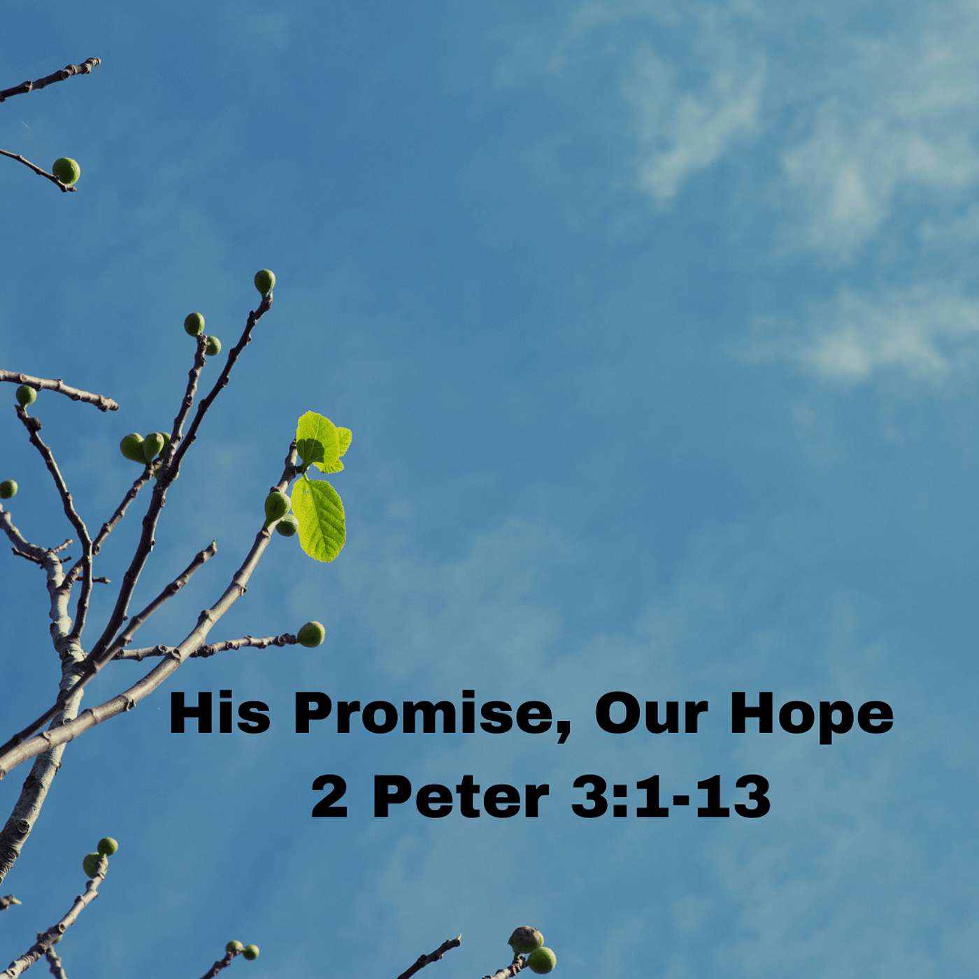 "His Promise, Our Hope" 2 Peter 3:1-13