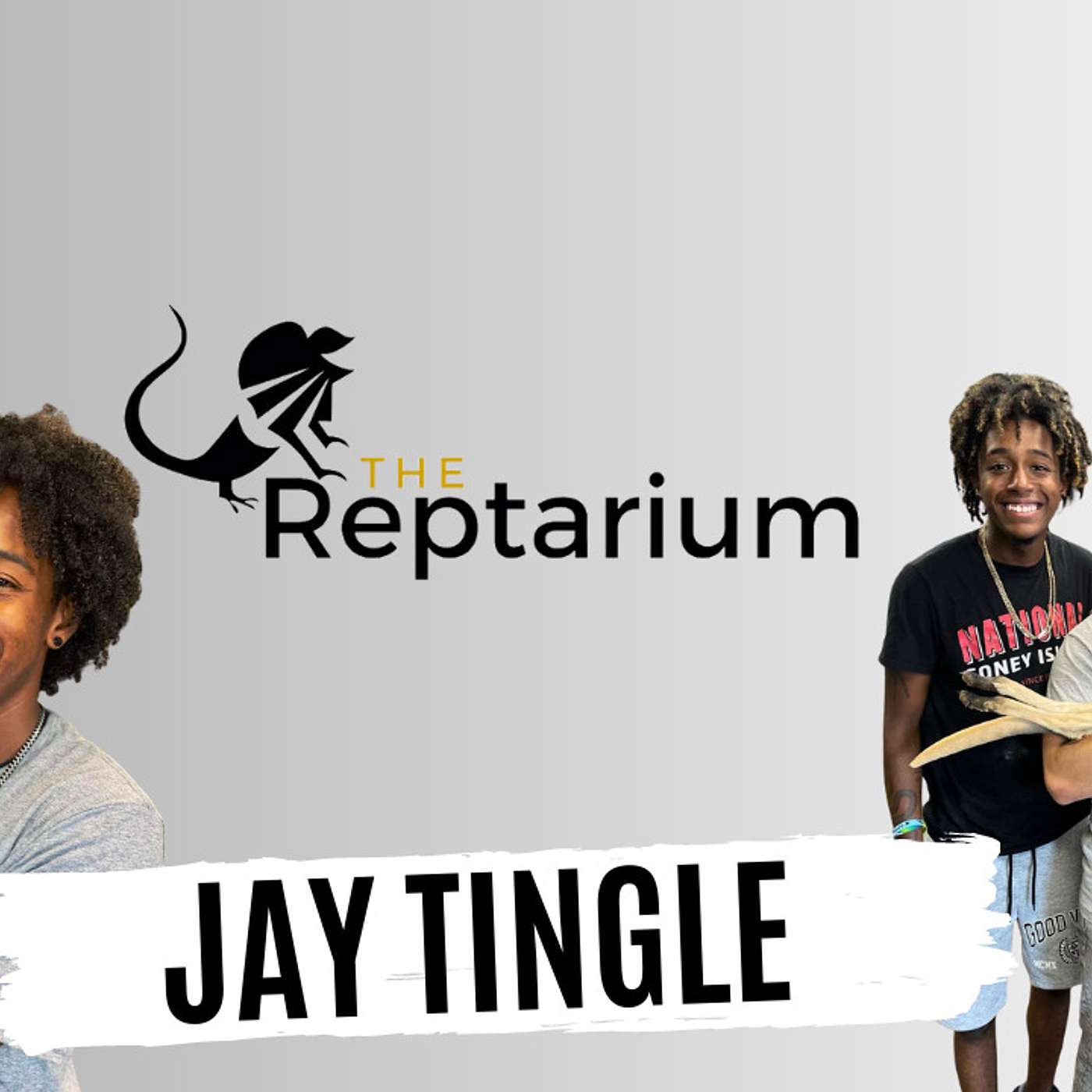 What the Reptarium means to Jay Tingle