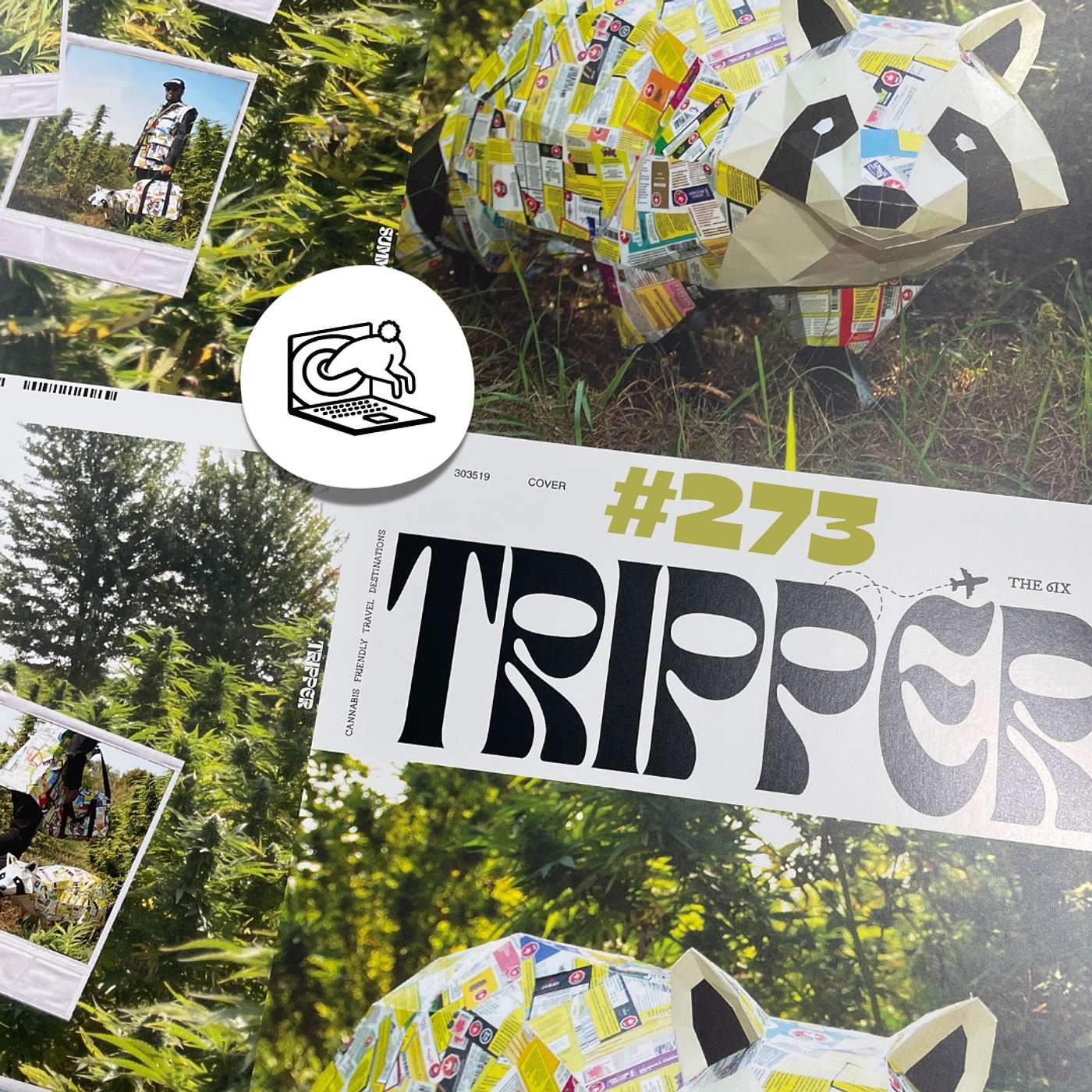 On a Trip with Amanda Breeze of TRIPPER Magazine