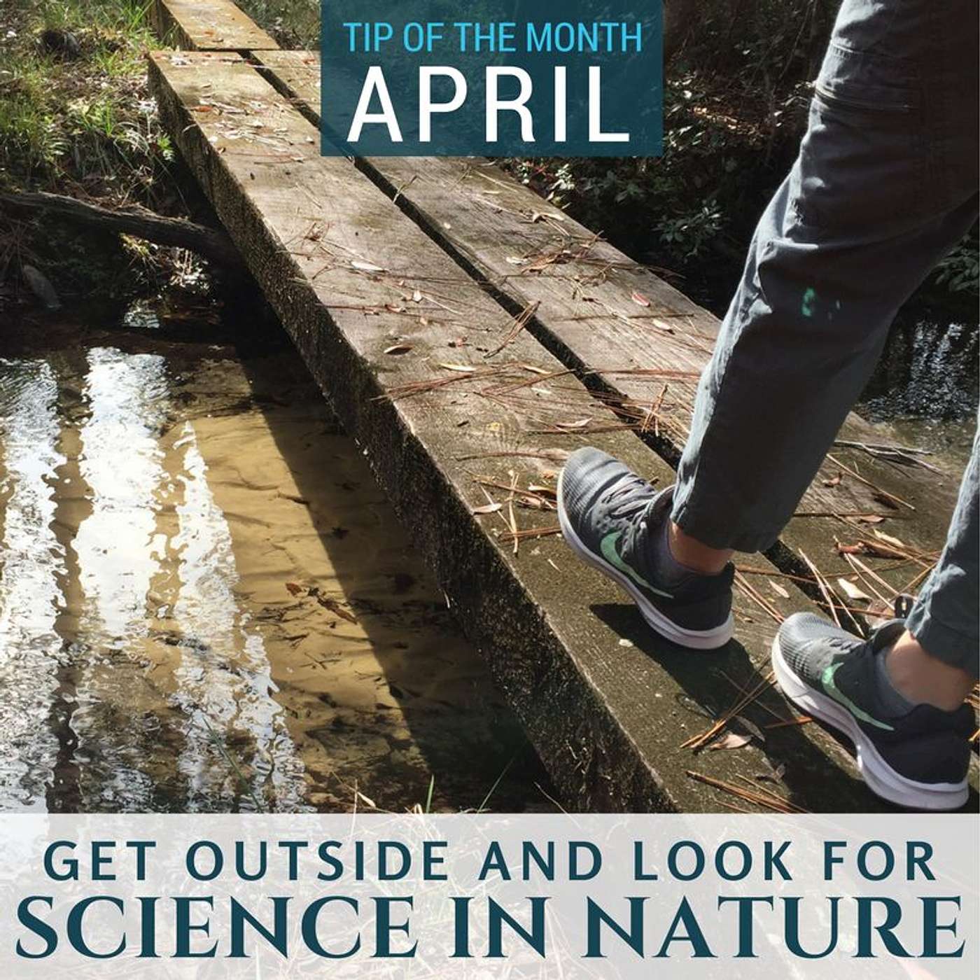 Tips for Homeschool Science Podcast from Elemental Science