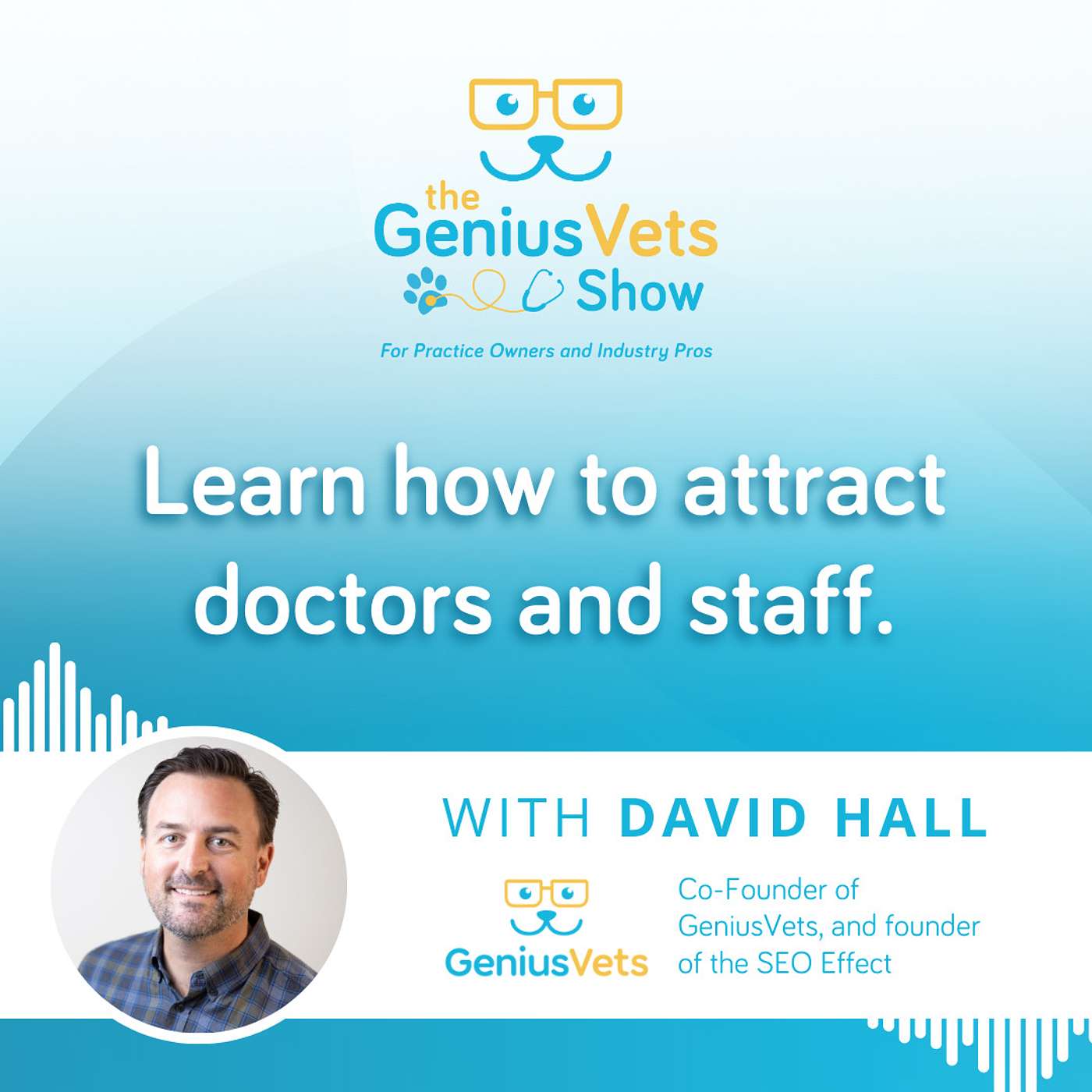The GeniusVets Show - For Practice Owners and Industry Pros