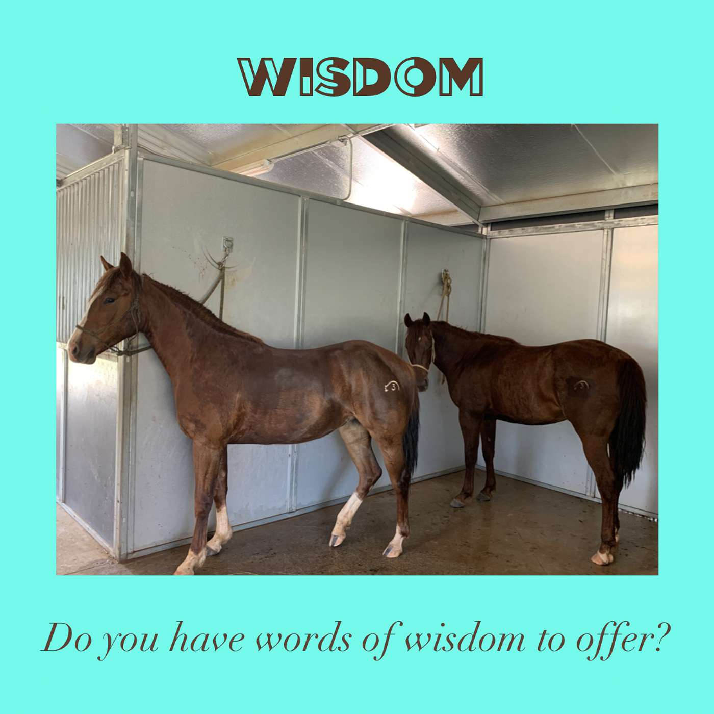 Wisdom episode artwork