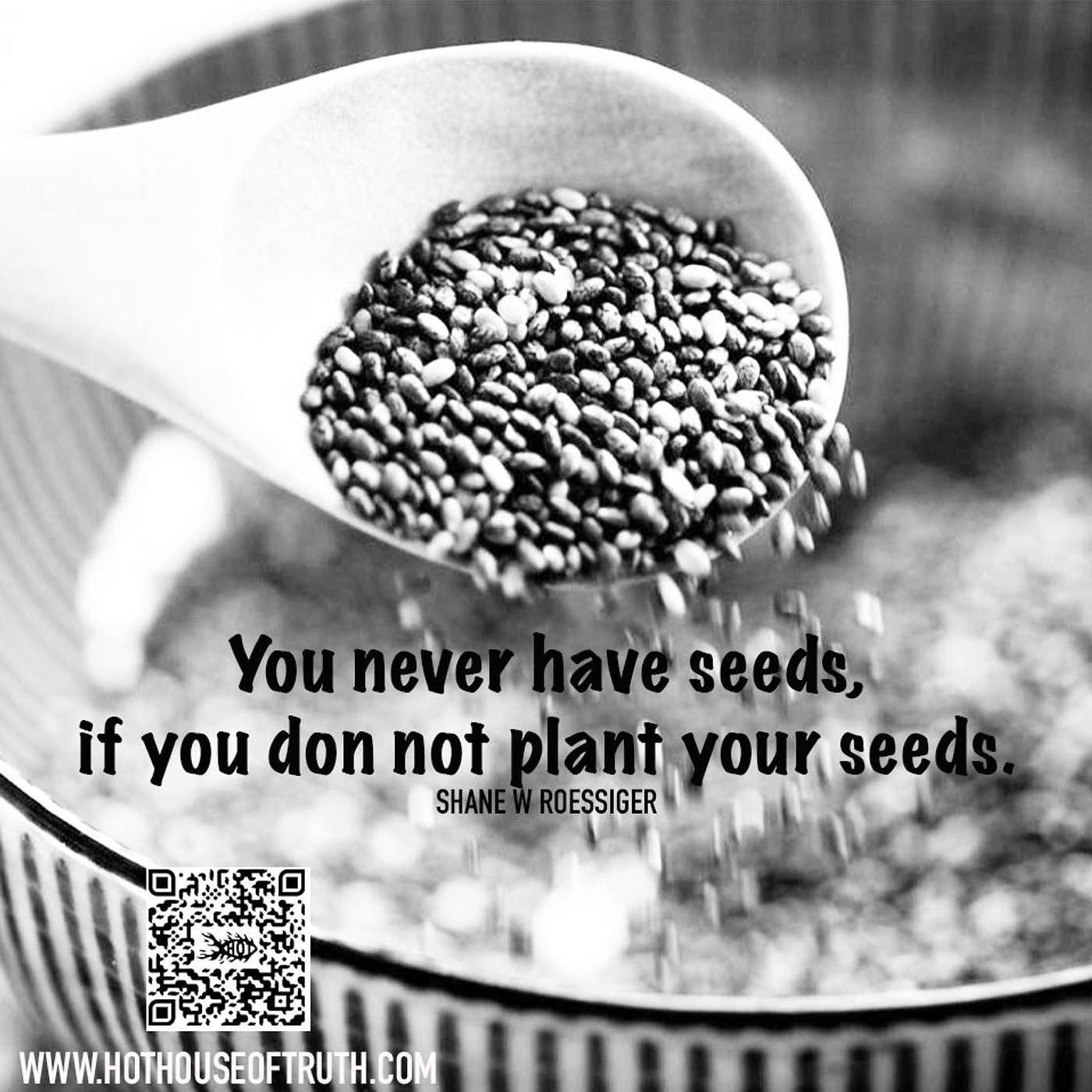 The Image Of The Seed - By Shane Roessiger