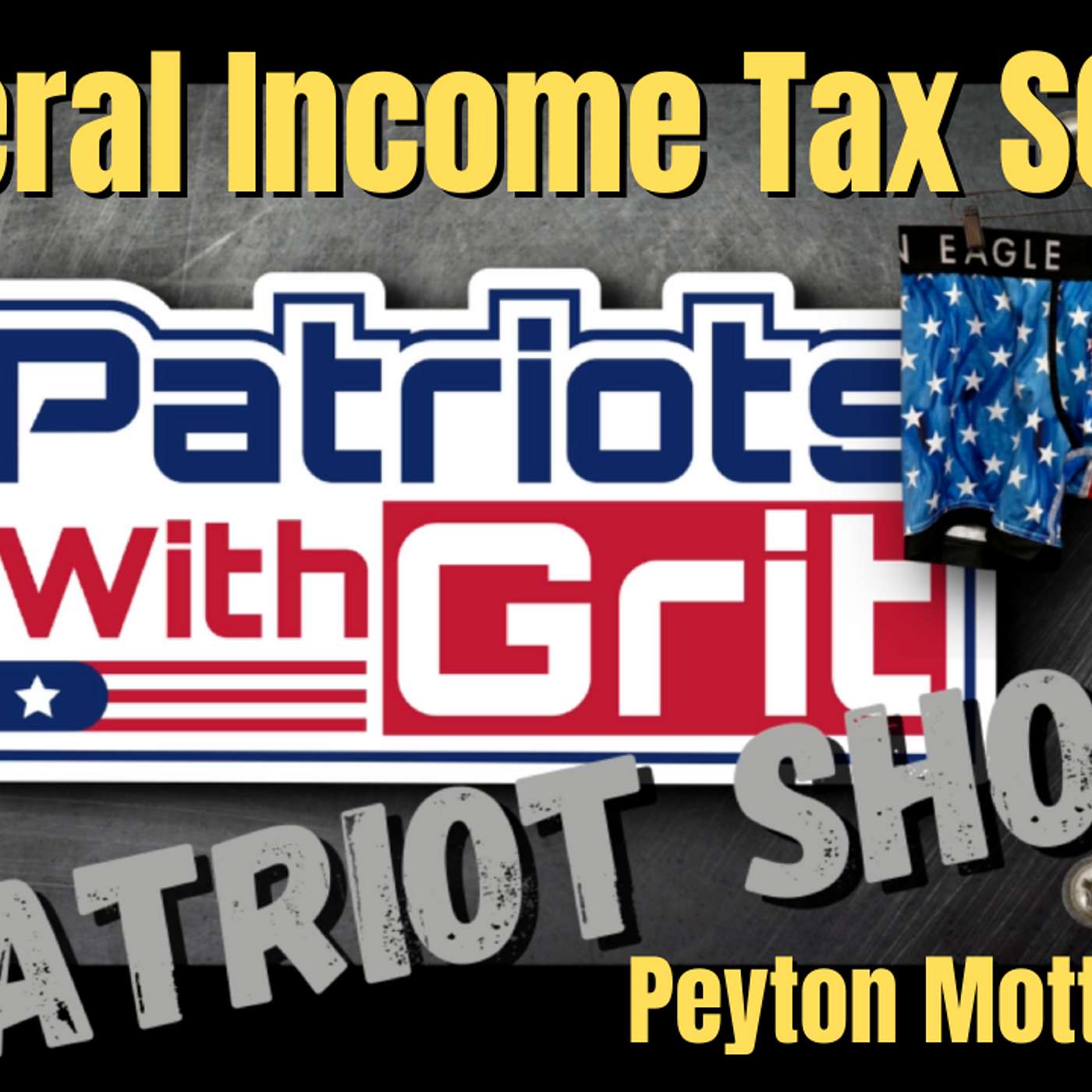 264. Federal Income Tax SCAM-Are You Actually Required To Pay It? | Peymon Mottahedeh