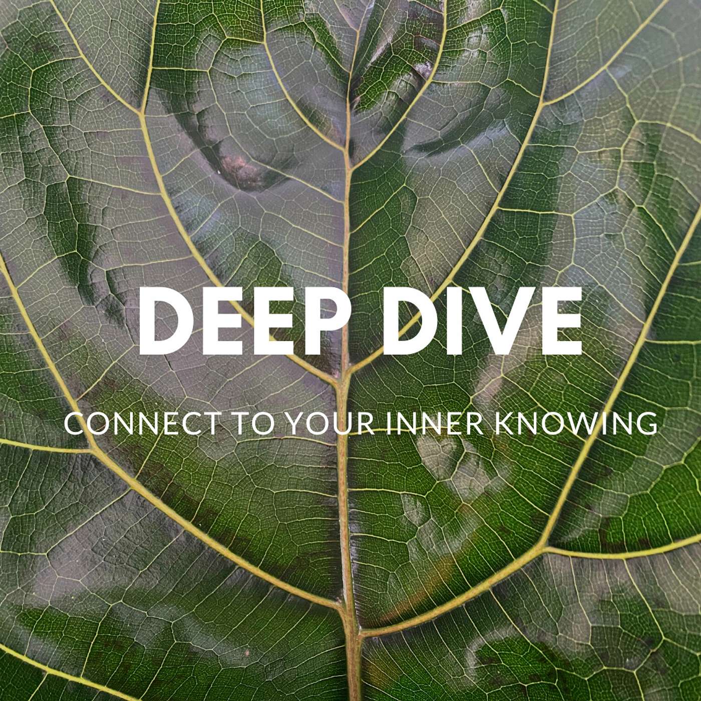 Meditation for stillness