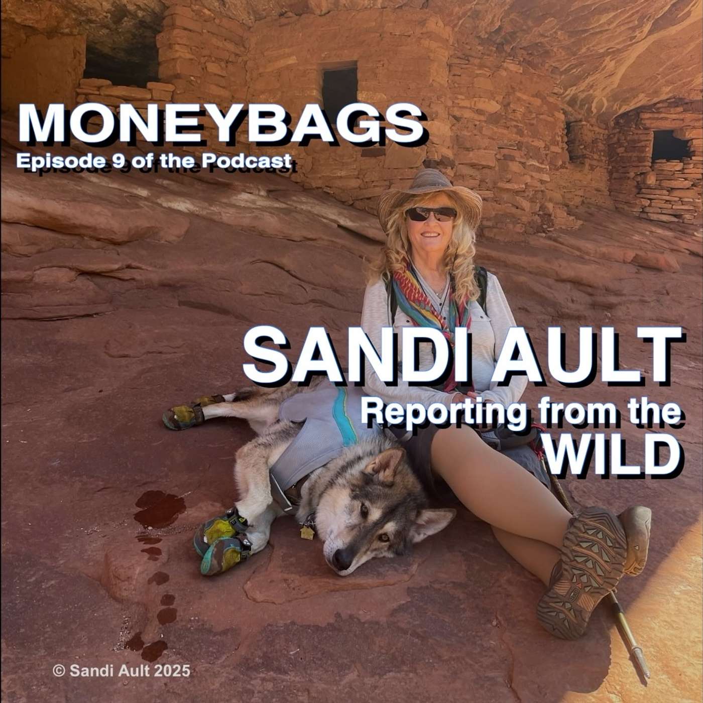 SANDI AULT—Reporting from the WILD