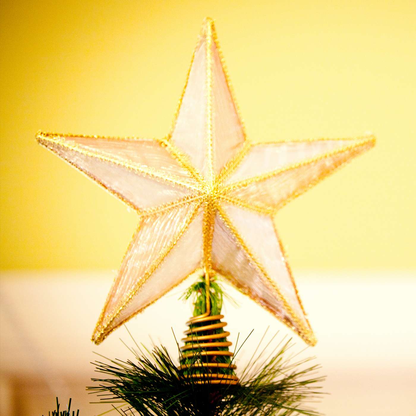 Joy to the World!