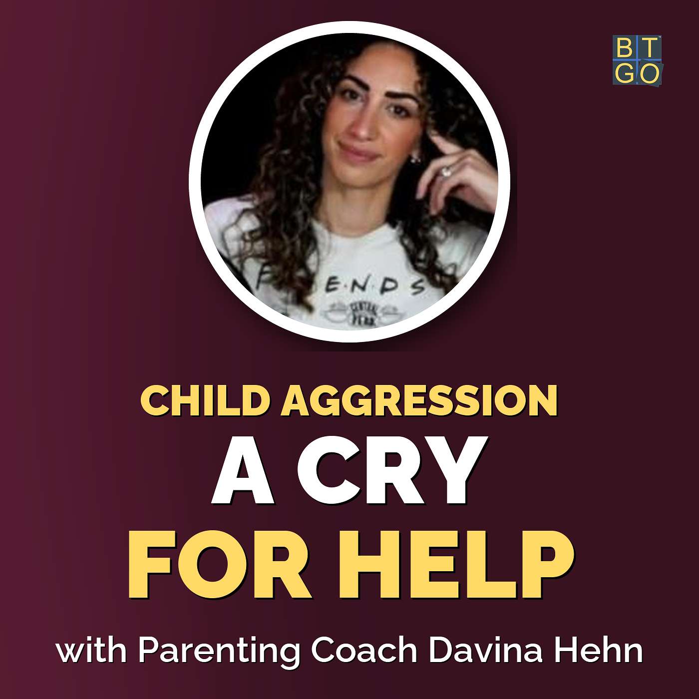 Managing Child Aggression in High-Conflict Families episode artwork