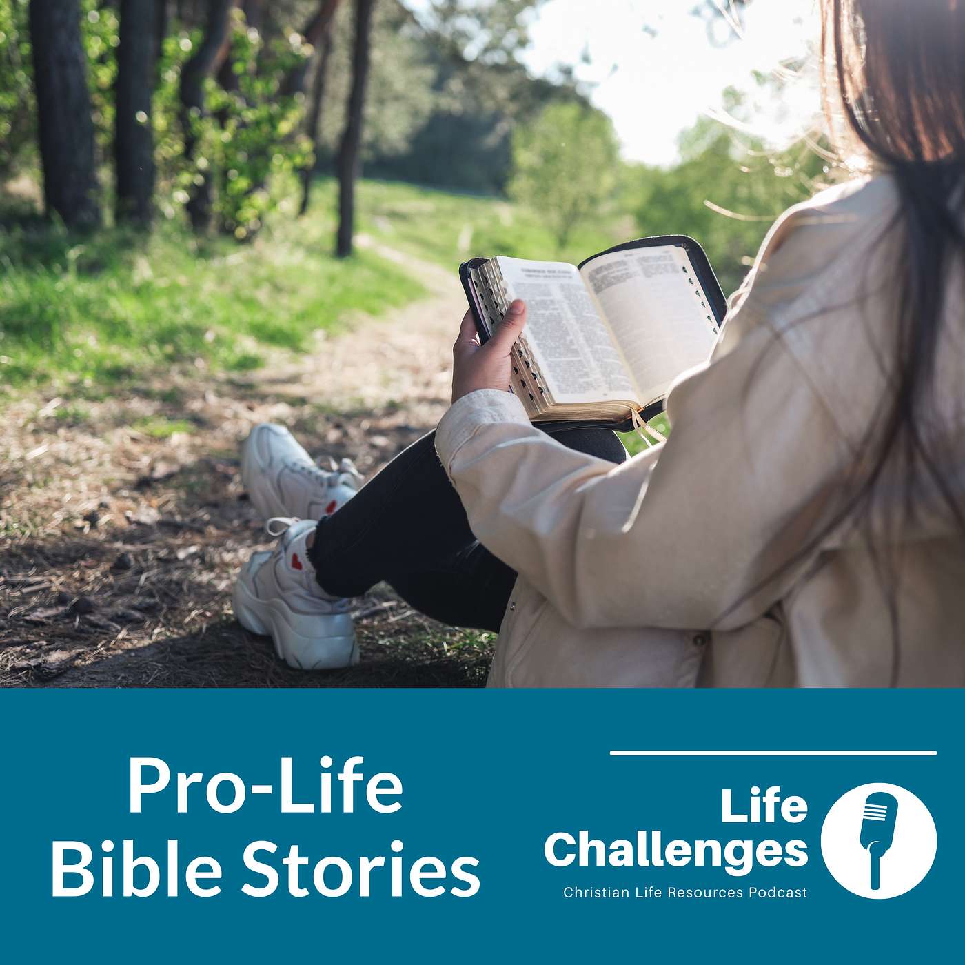 The Life Challenges Podcast