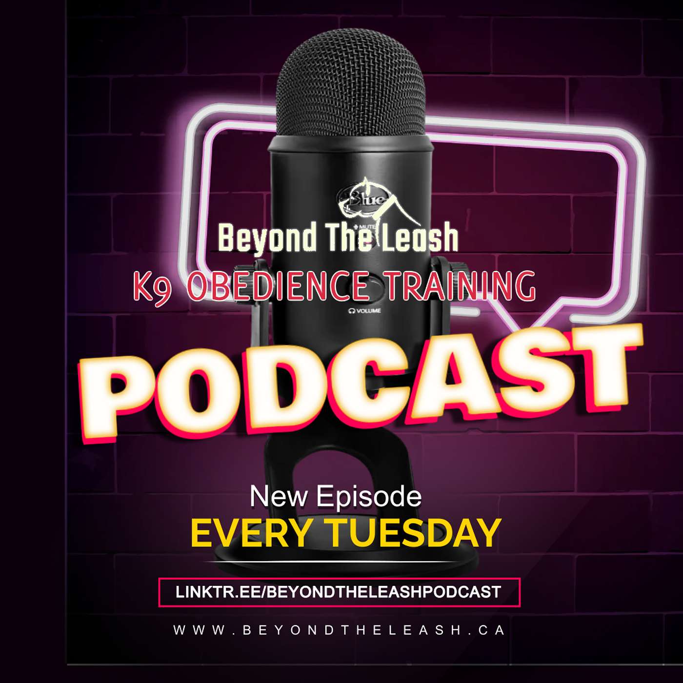 Episode 25: Picking The Right Puppy/Breed For Your Lifestyle