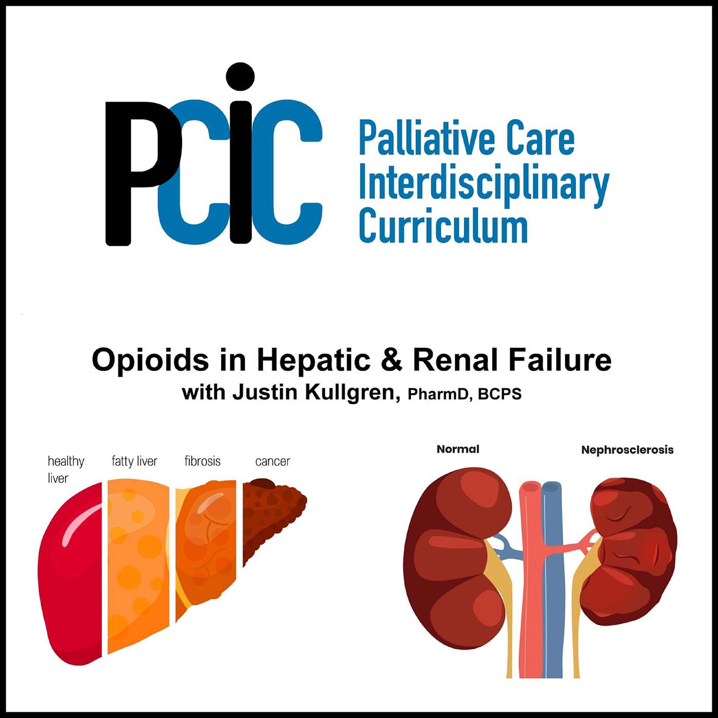 Palliative Care Interdisciplinary  Curriculum
