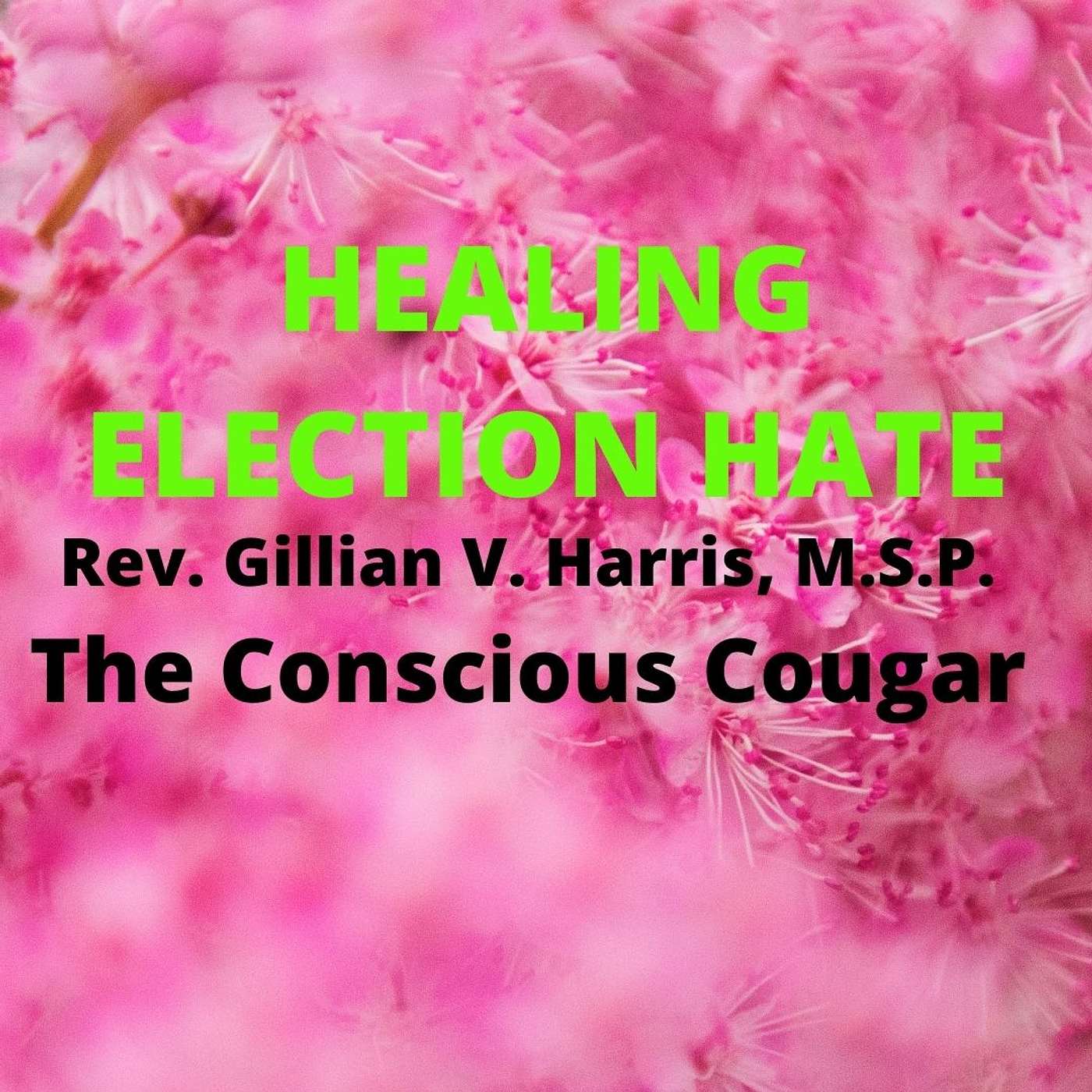 The Conscious Cougar