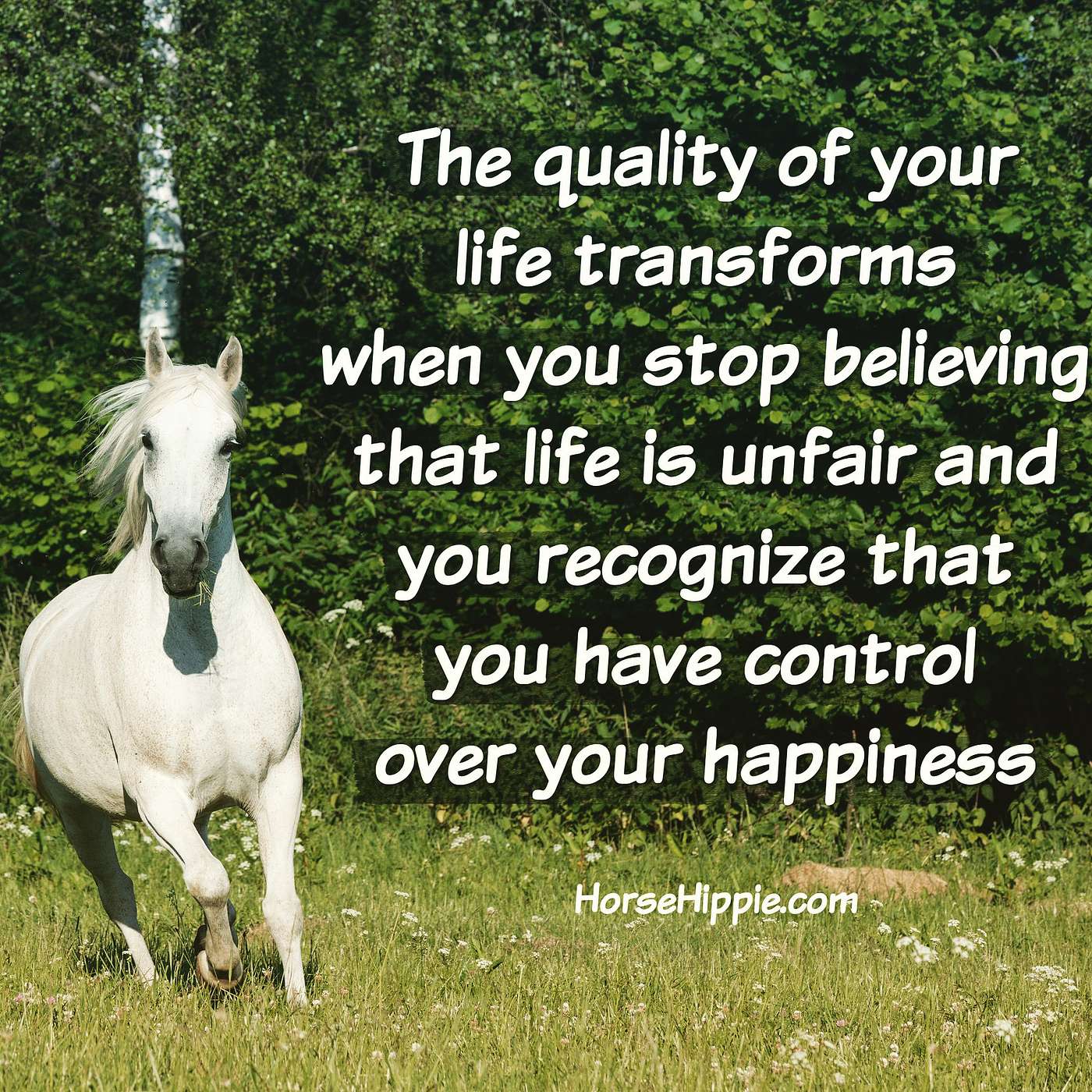 Take Charge of Your Happiness