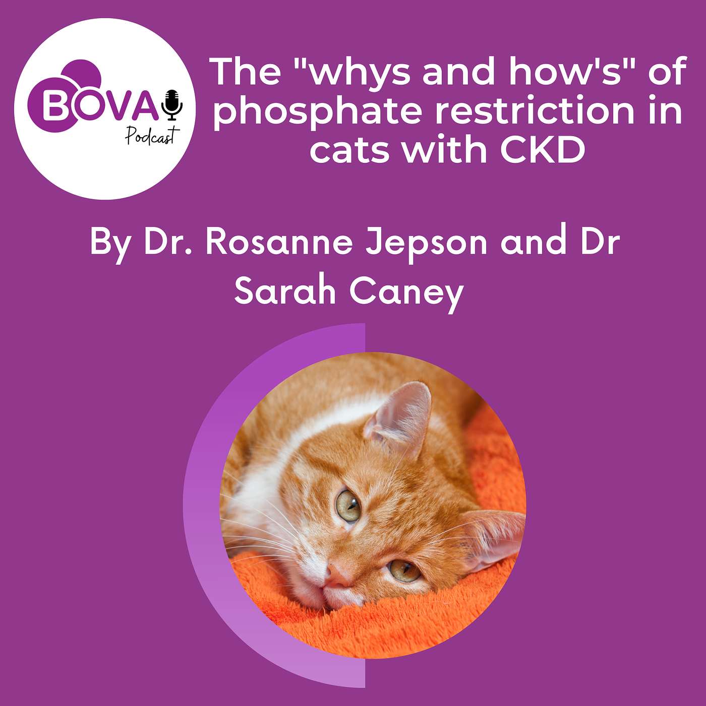 The "whys and how's" of phosphate restriction in cats with CKD