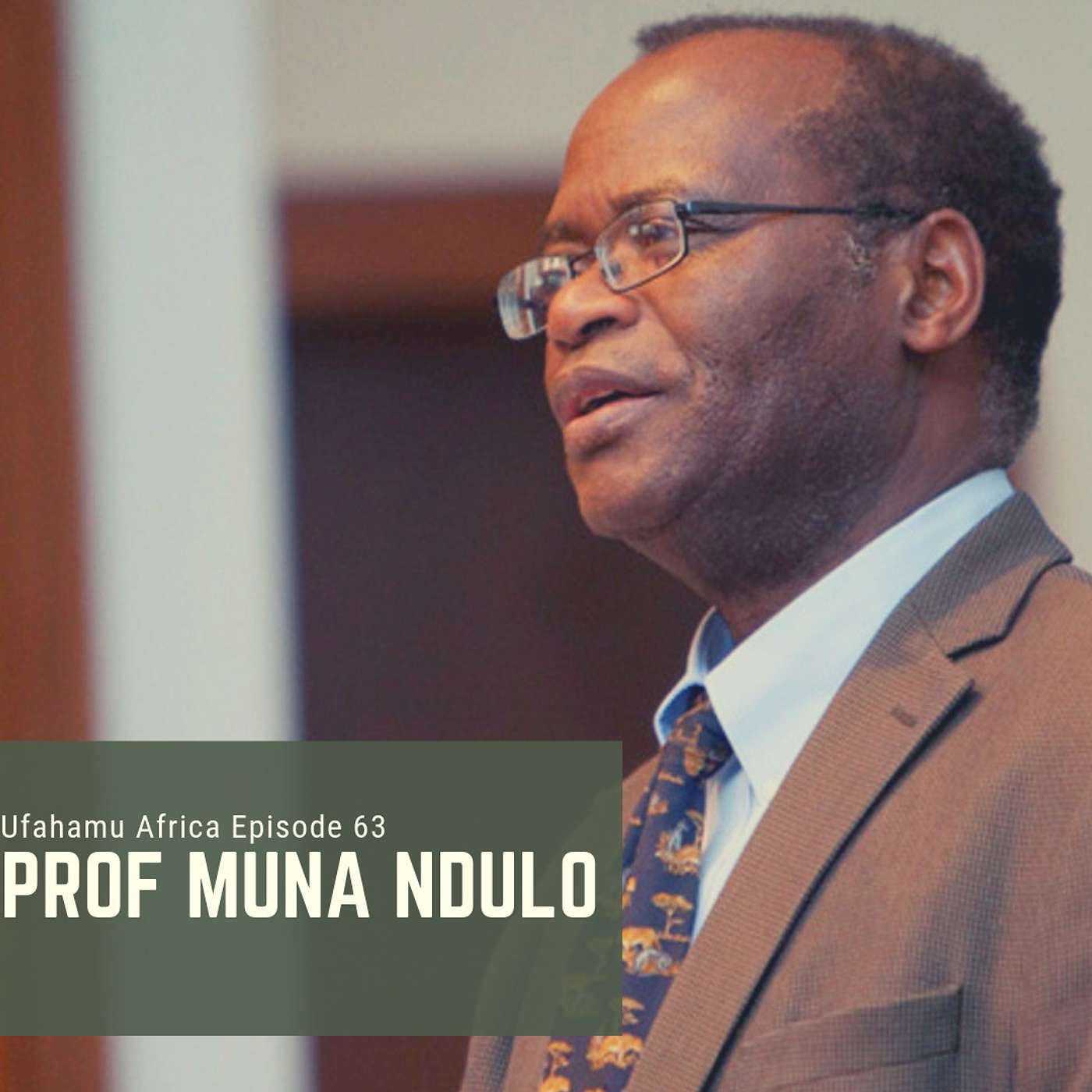 Ep. 63: A conversation with Muna Ndulo on international financial transparency, investment vs. insurgency, and more