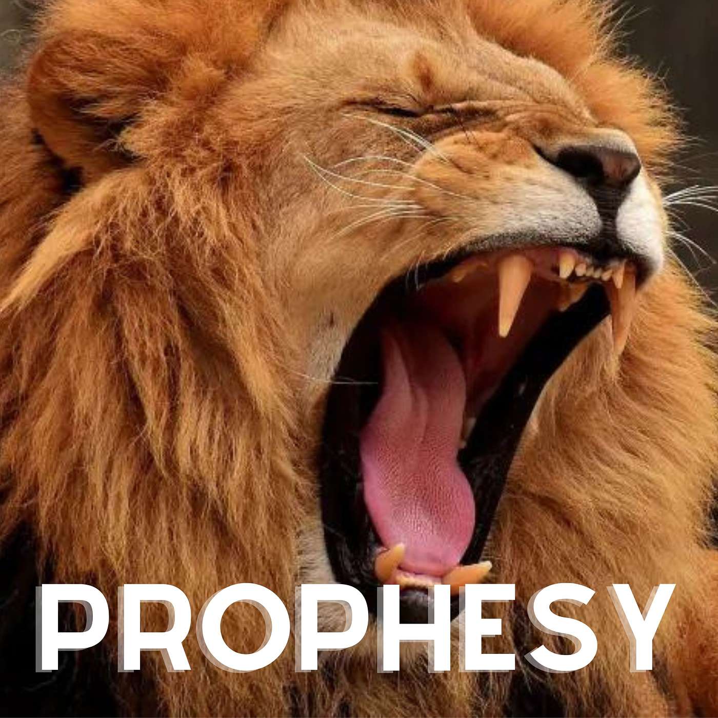 Prophesy episode artwork