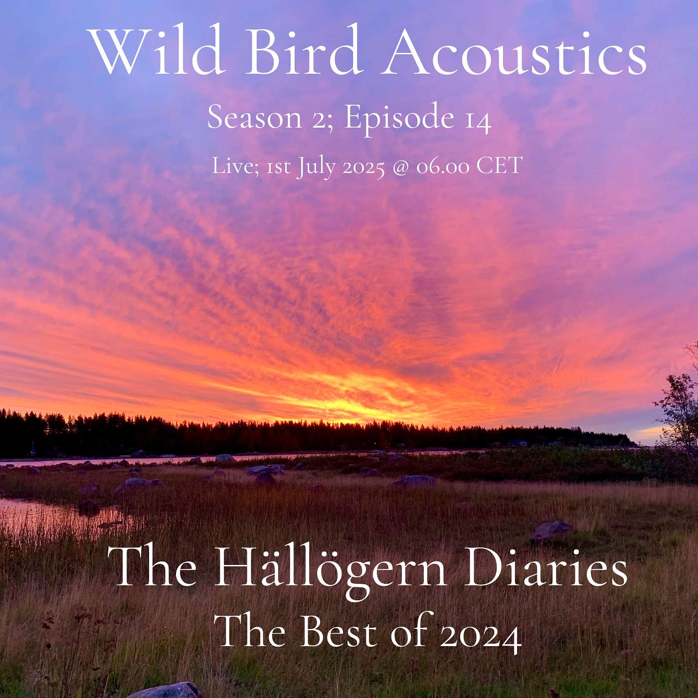 Wild Bird Acoustics