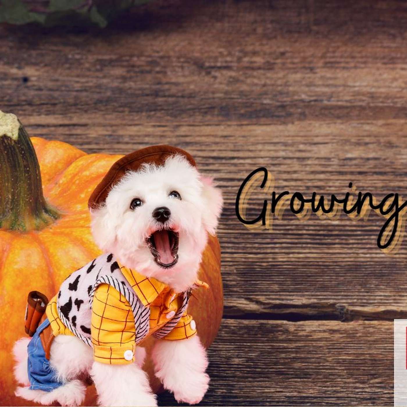 Growing Chatham October 2023 episode artwork