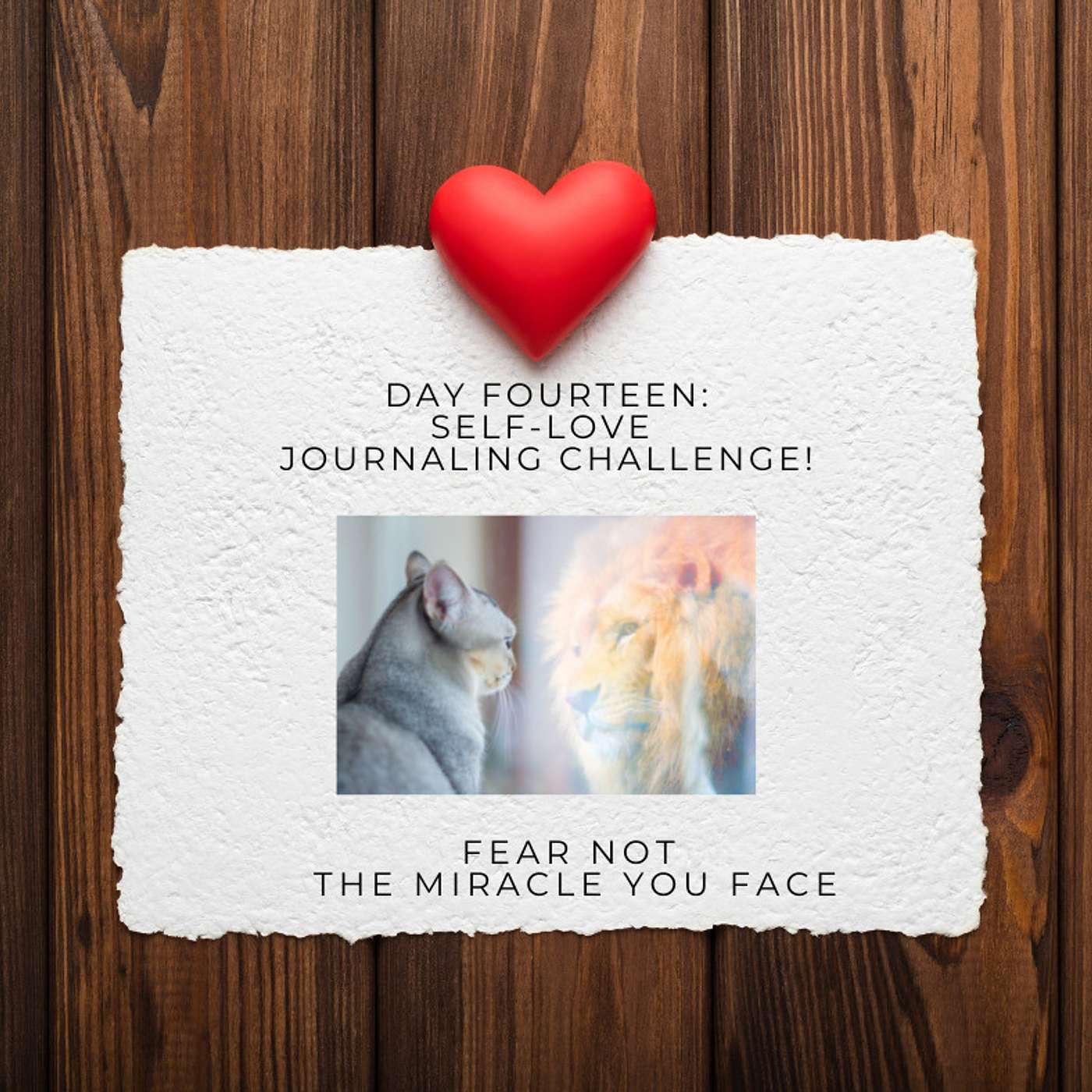 Day 14: Self-Love Challenge