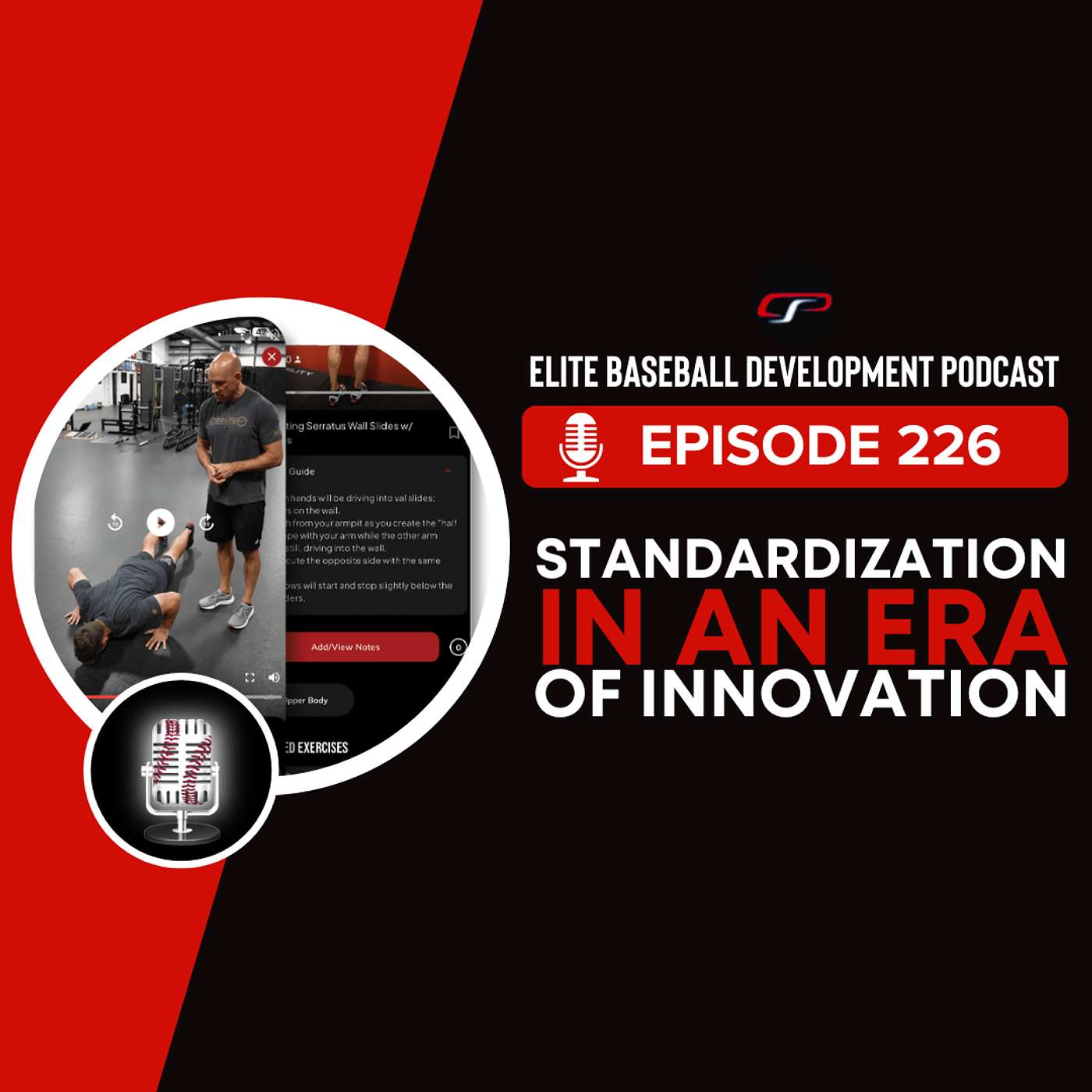 226. Standardization in an Era of Innovation