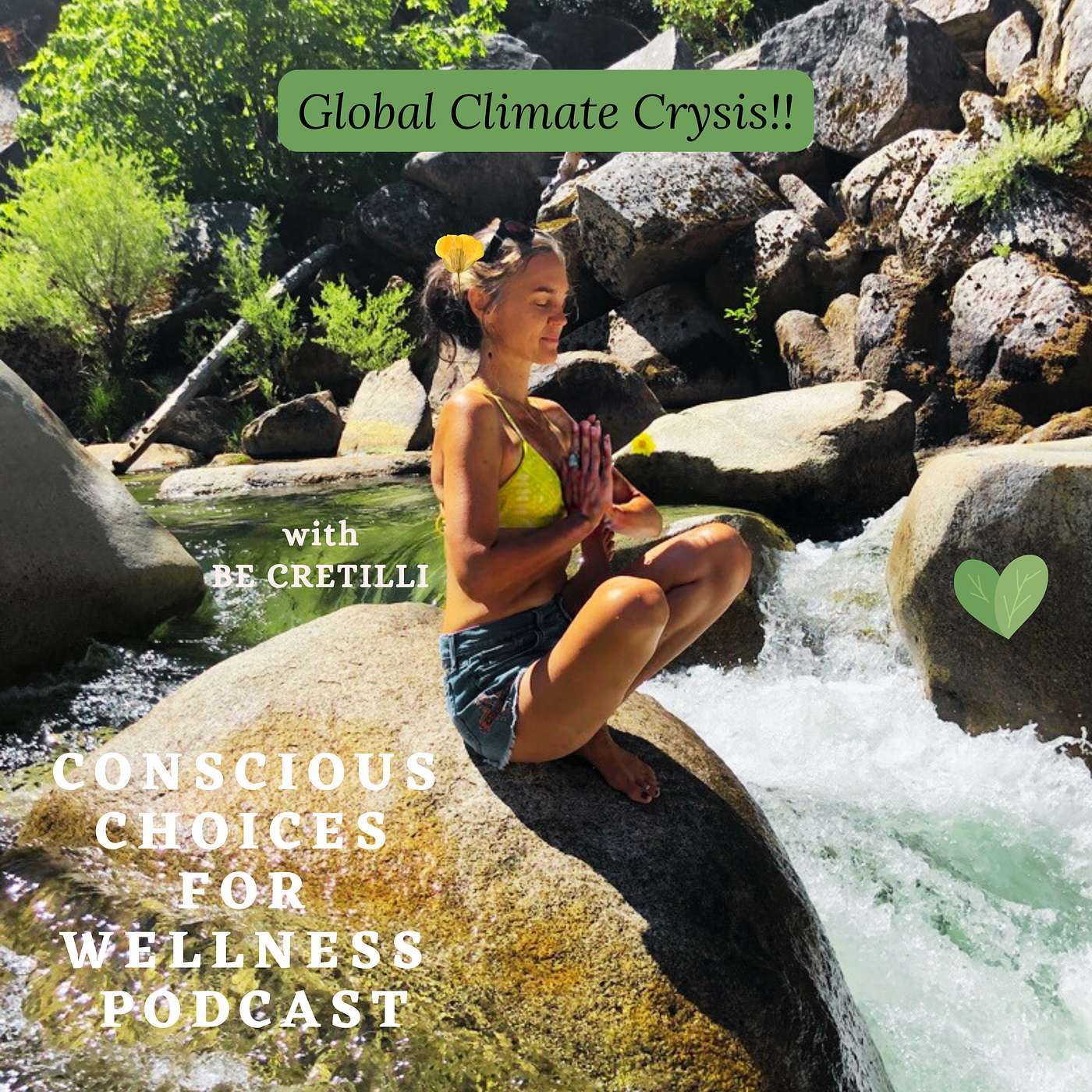 Global Climate Change: A Disastrous Reality episode artwork