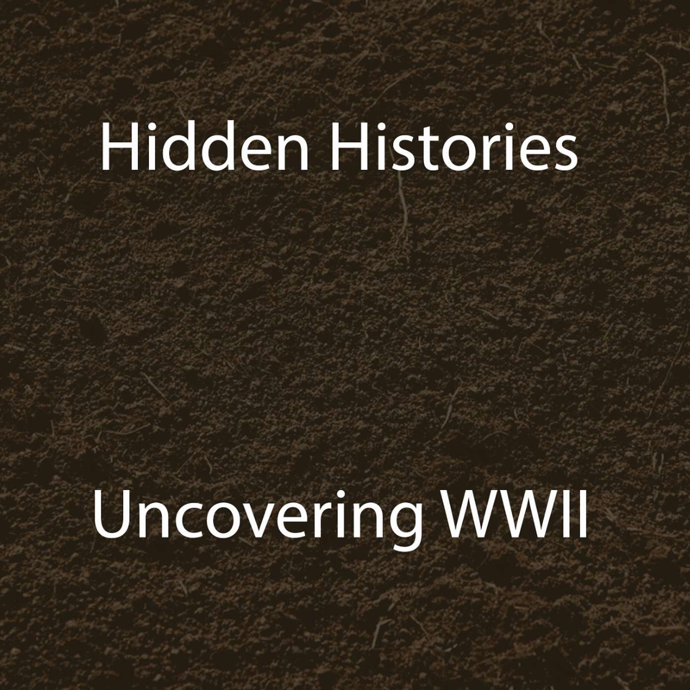 Hidden Histories: Uncovering WWII podcast artwork