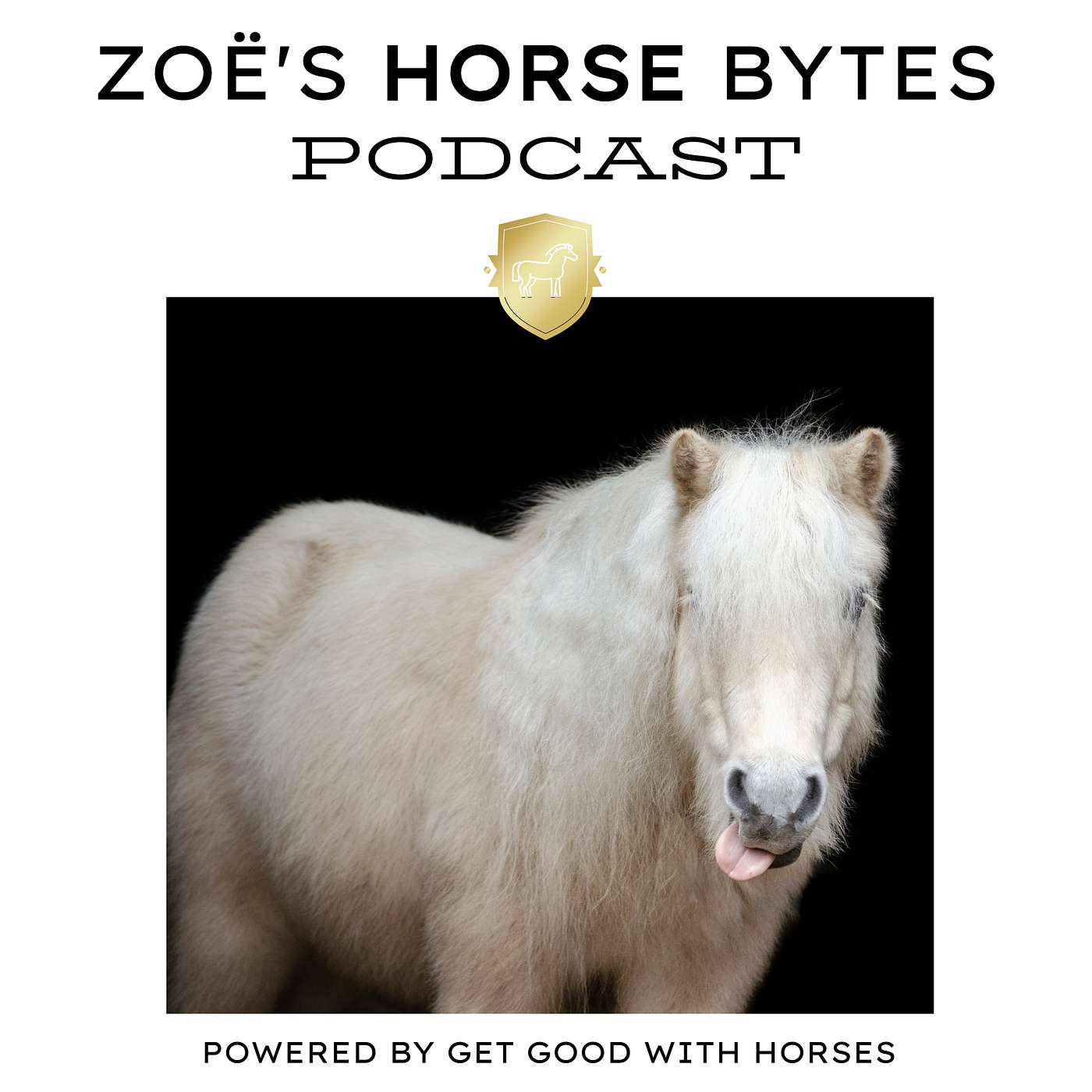 7. Horse training IS hard, but you've got this episode artwork