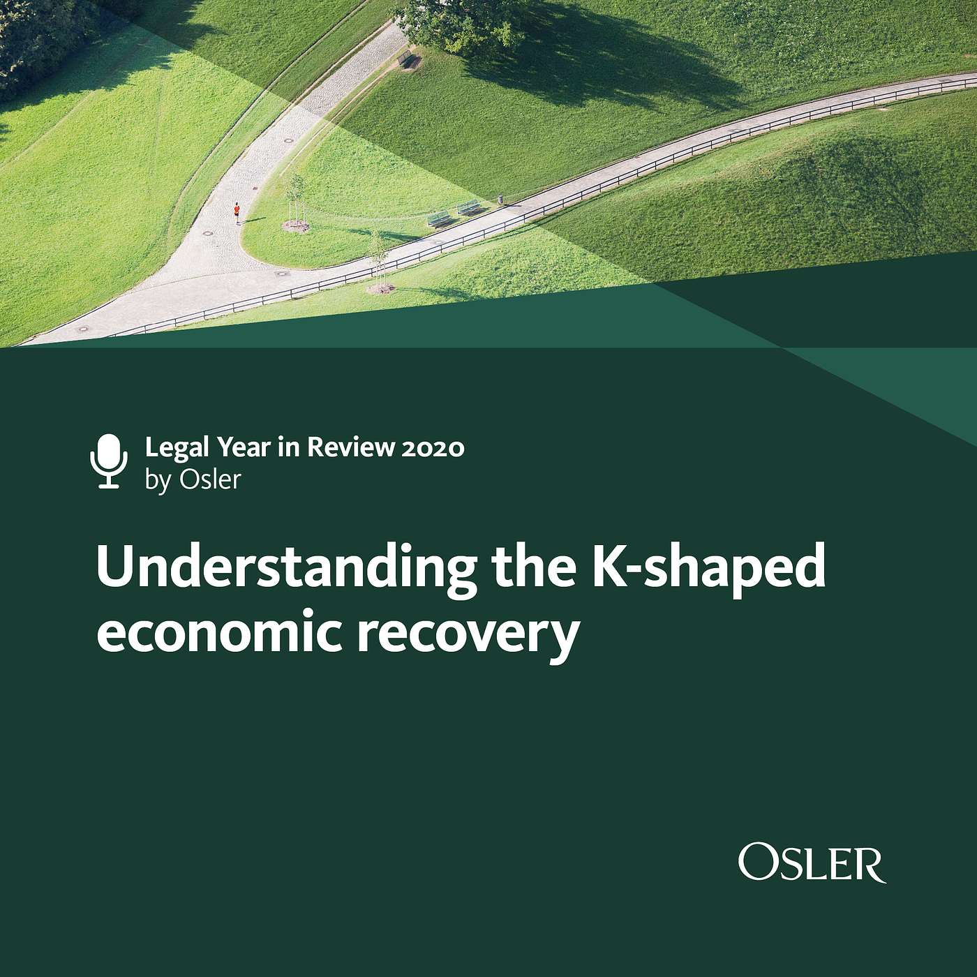 Legal Year in Review