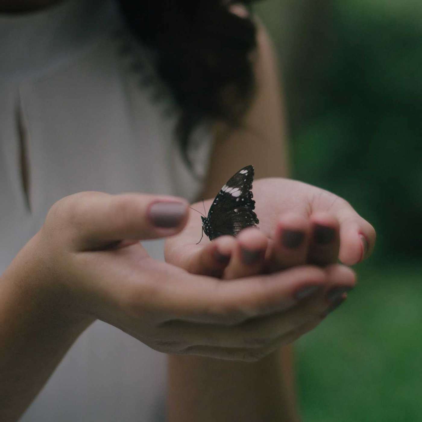 Integral Teaching Podcast Episode 7: Letting Go and Letting Come