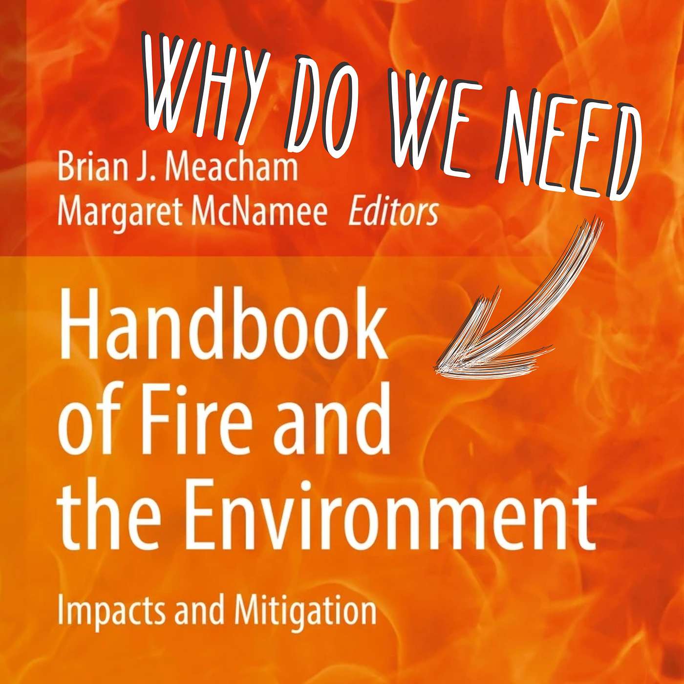 063 - Why do we need a handbook of fire and the environment with Brian Meacham and Margaret McNamee