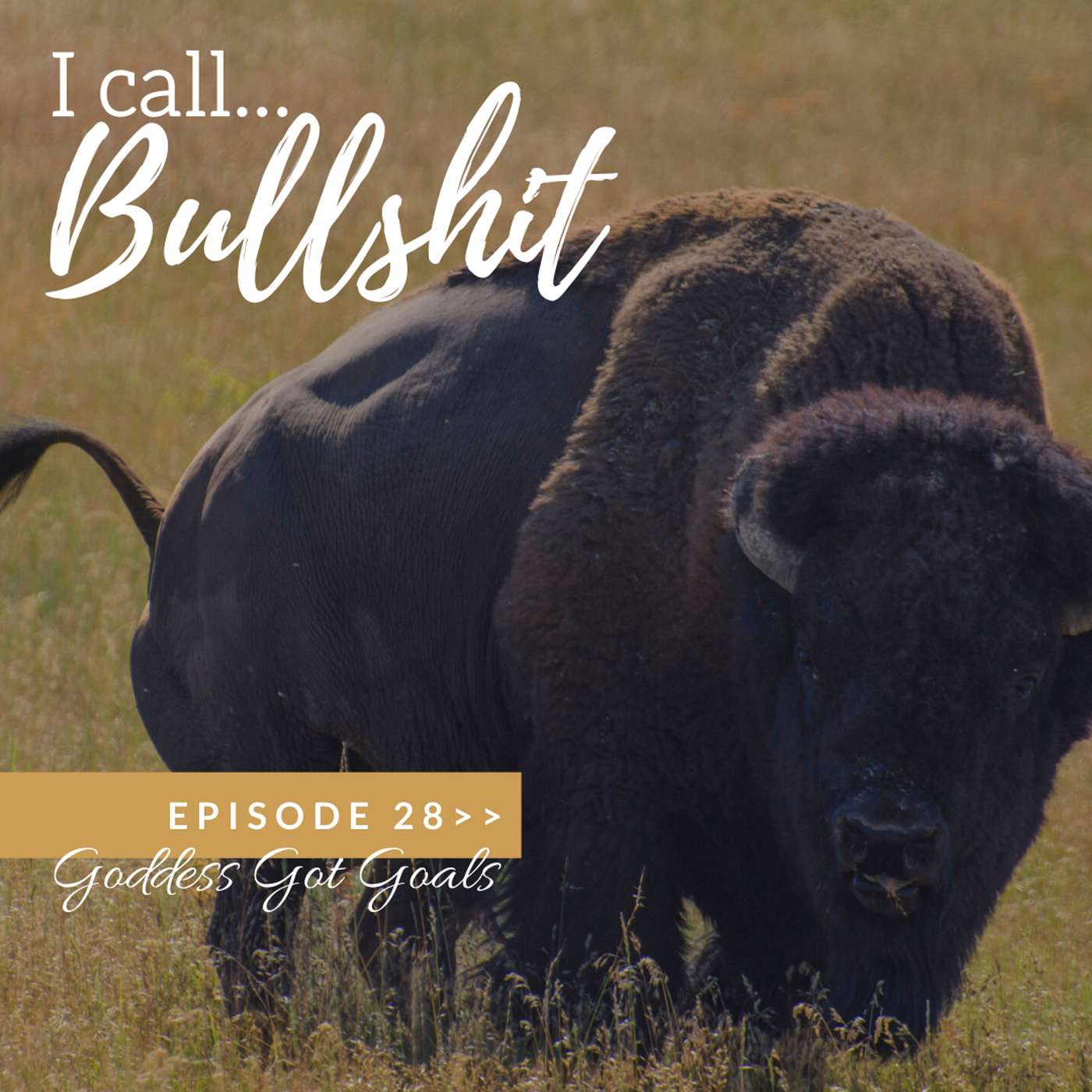 28: I call BULLSHIT! Why you aren't getting the results you expect. episode artwork
