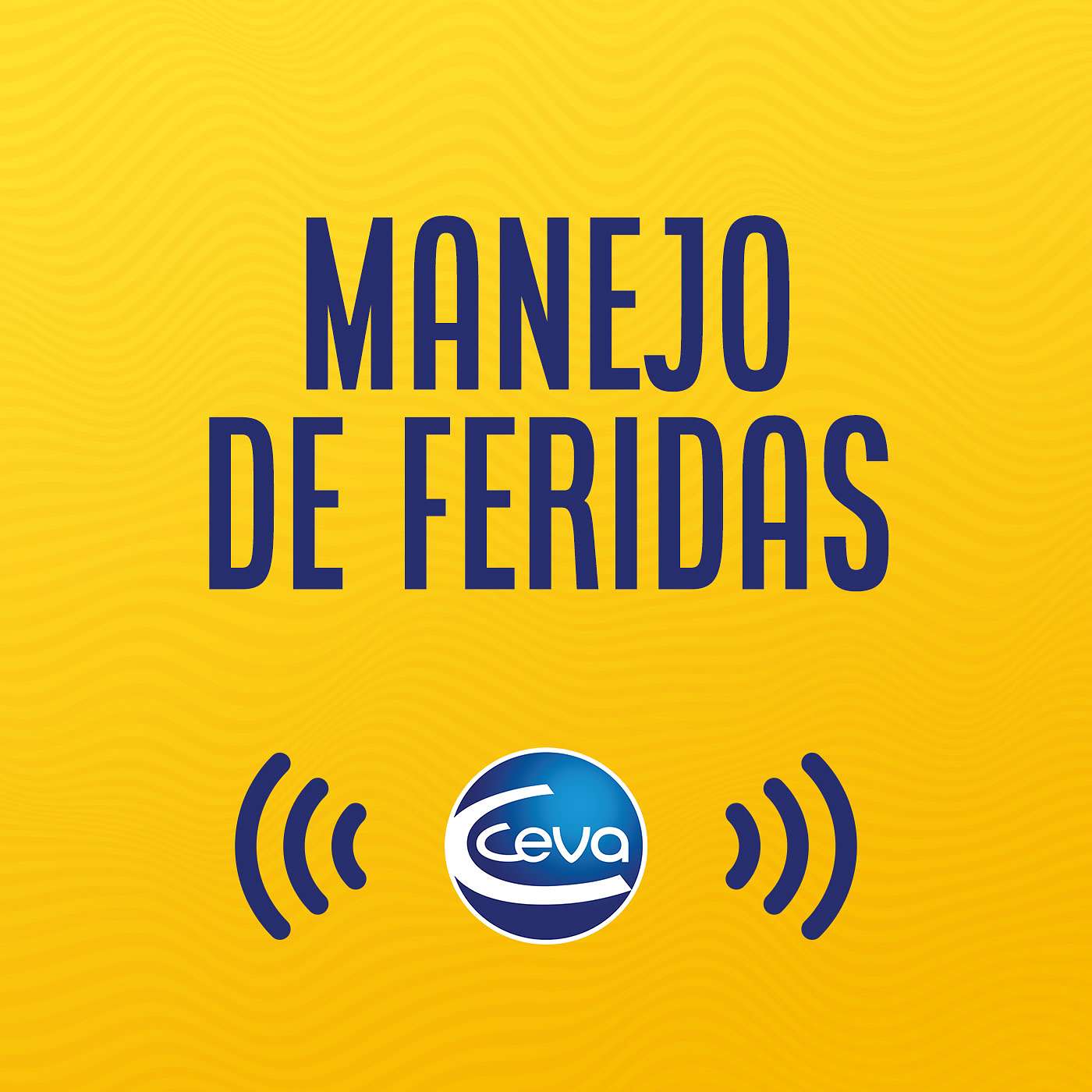 Feridas em equinos #01 - Primeiras intervenções para a cicatrização normal episode artwork
