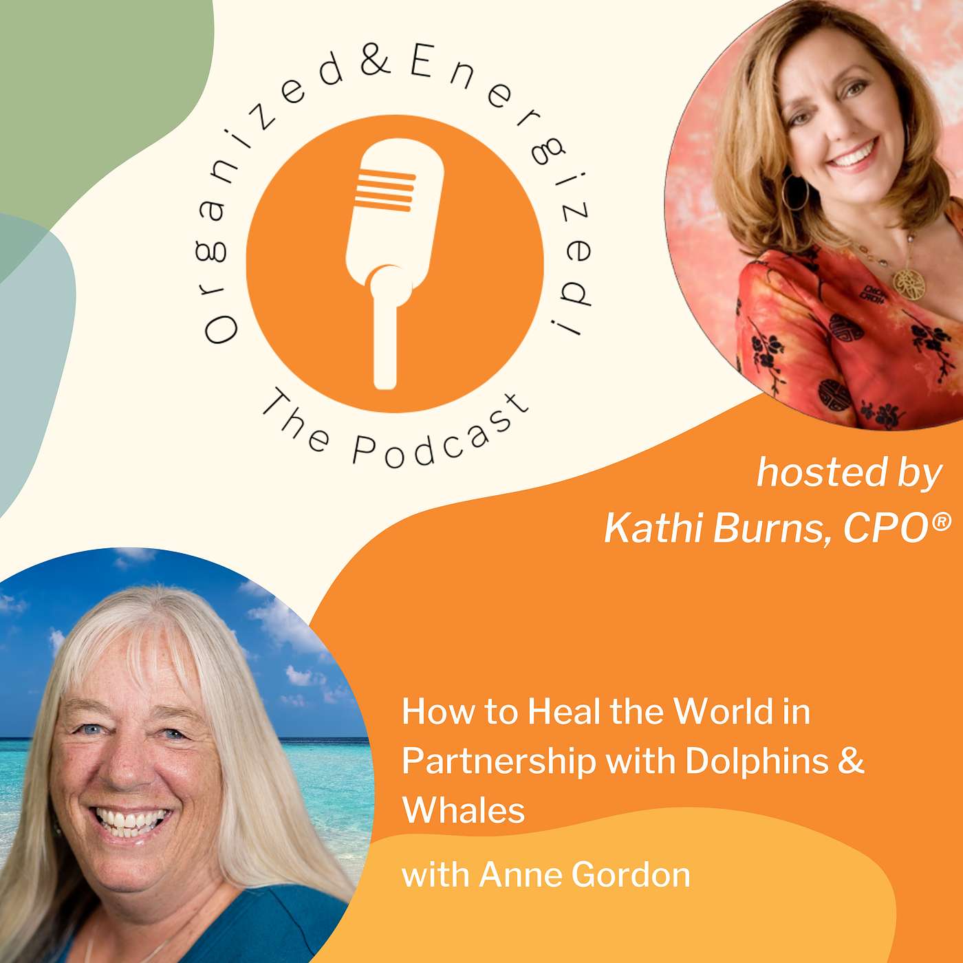 How to Heal the World in Partnership with Dolphins & Whales with Anne Gordon