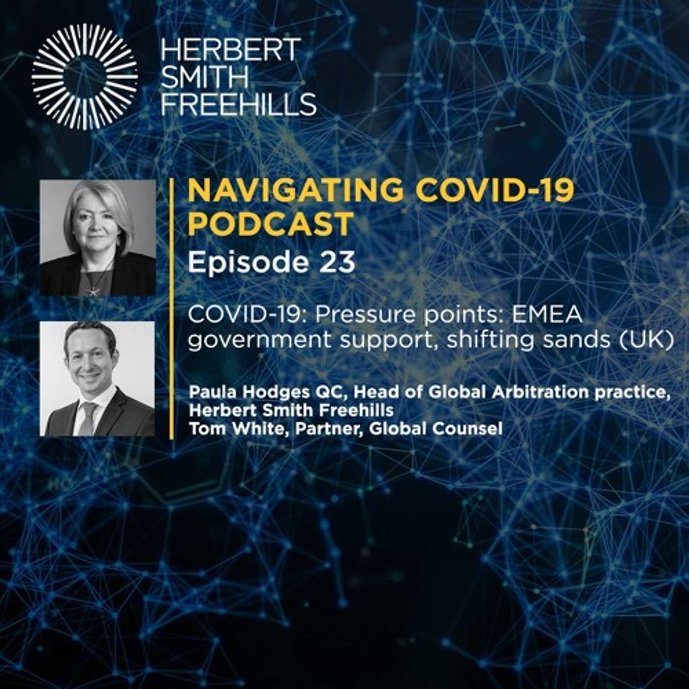 EP23 COVID-19: Pressure Points: EMEA Government Support Shifting Sands (UK) episode artwork