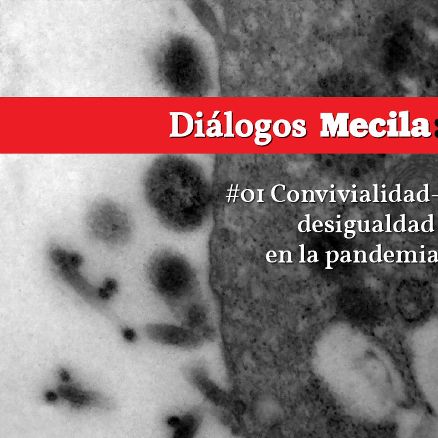 Diálogos Mecila: