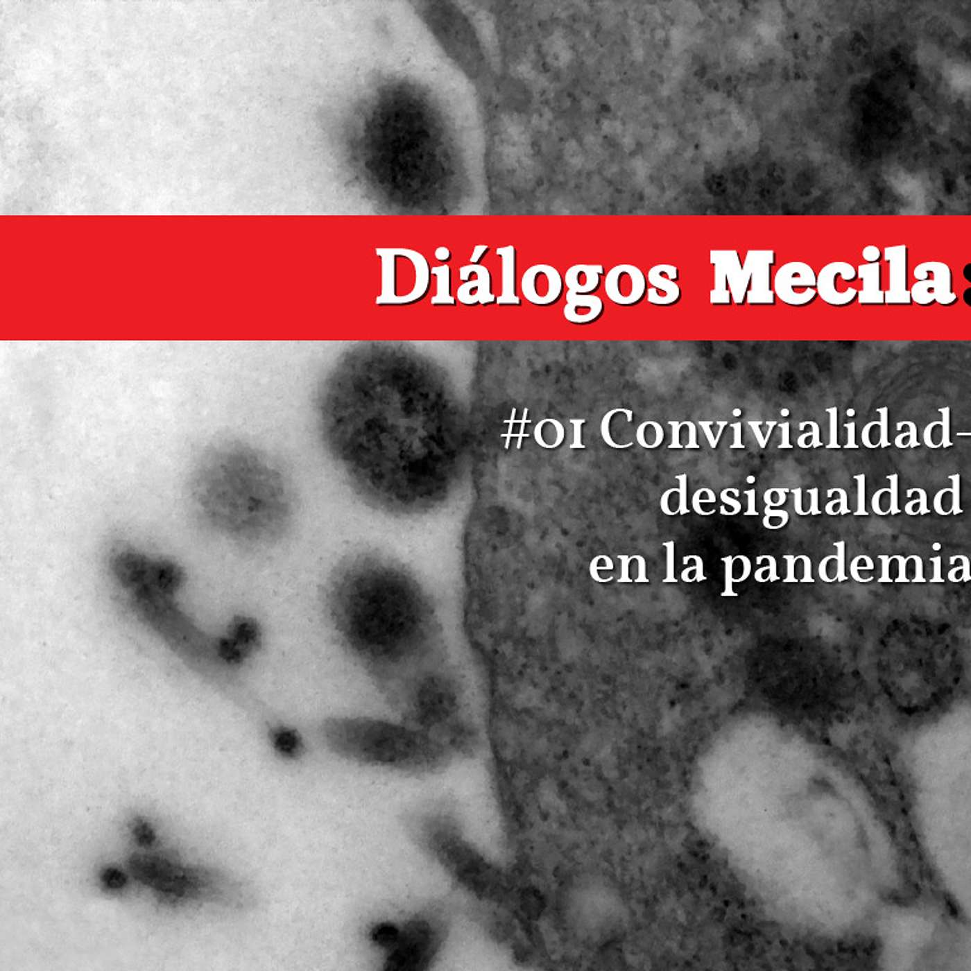 #01 Convivialidad-desigualdad en la pandemia