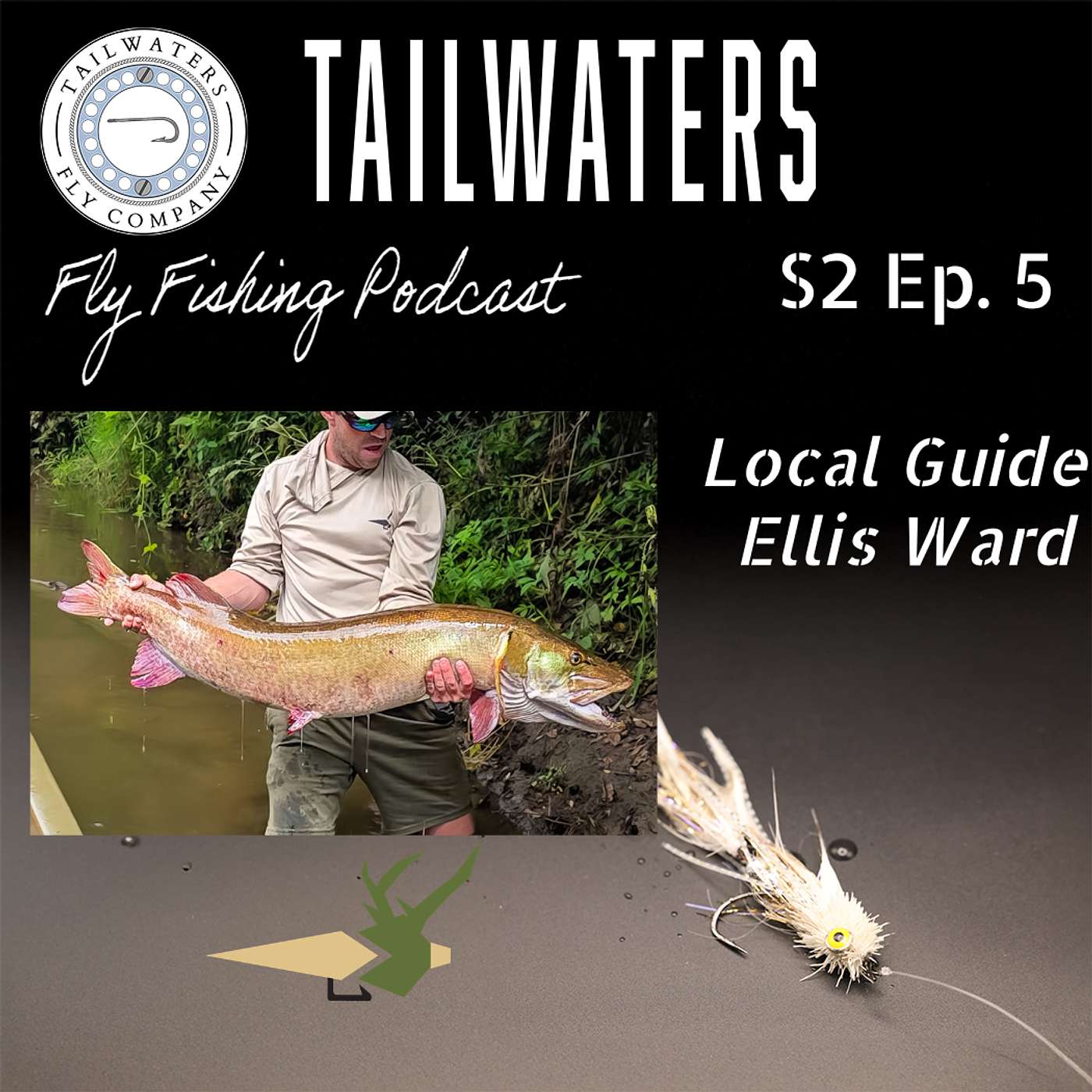 Local Guide Ellis Ward