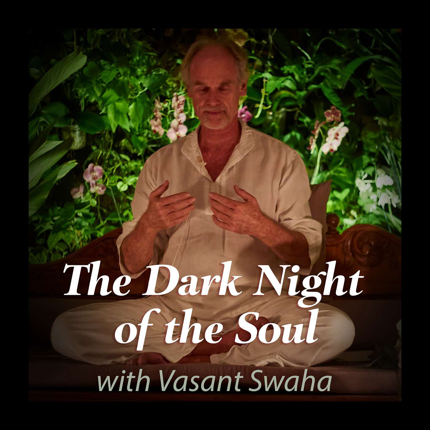 Satsang with Swaha - Audio