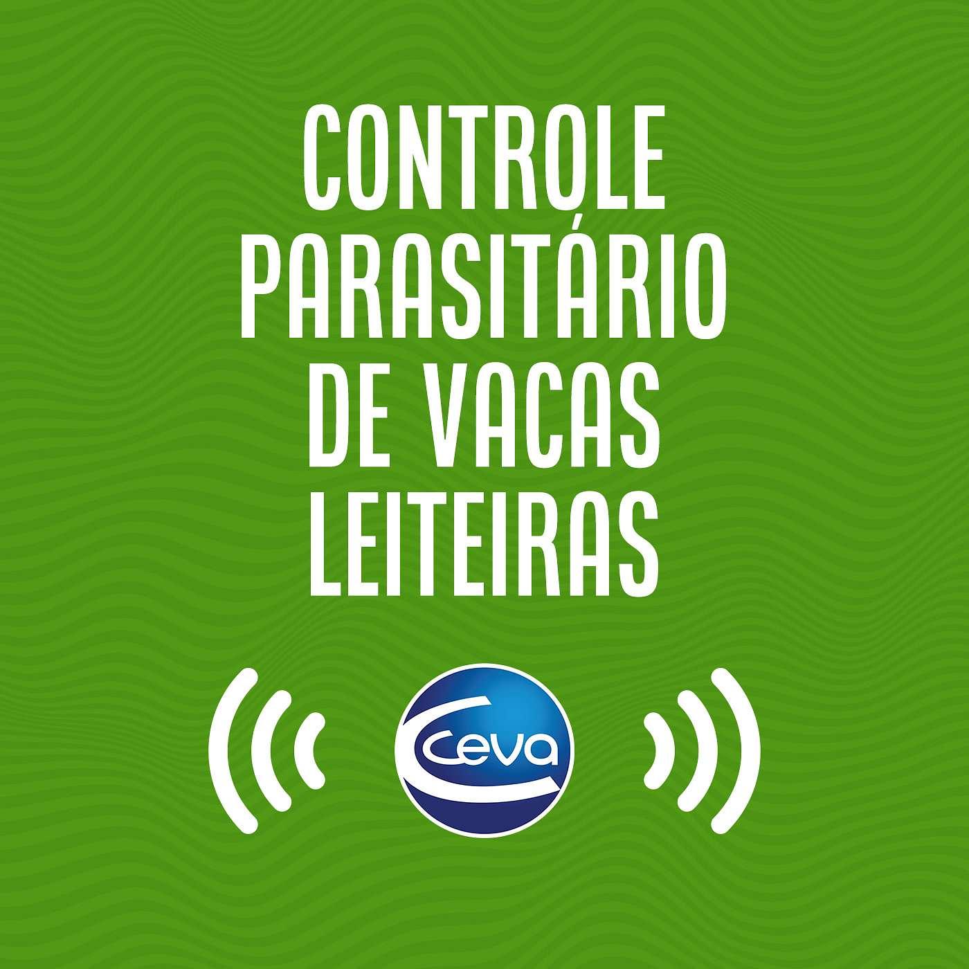 Controle parasitário #02 A importância do controle parasitário no gado leiteiro episode artwork