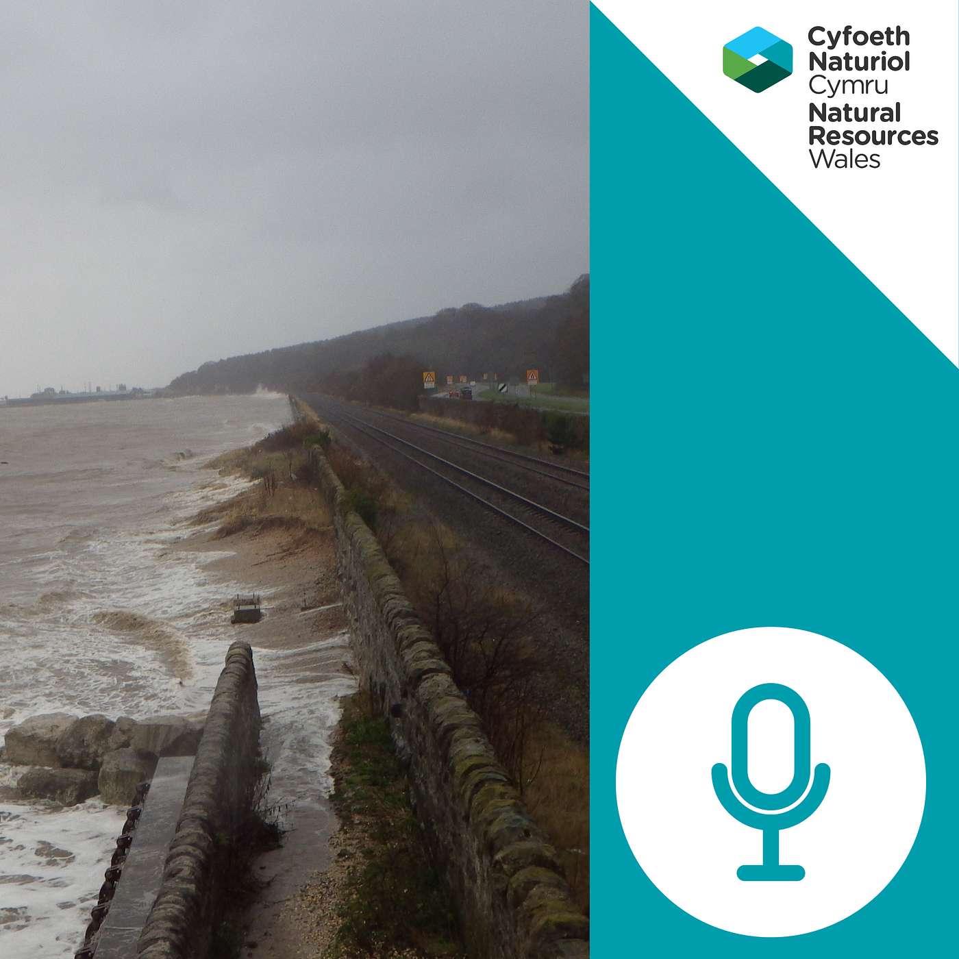 Cyfoeth: Podlediad Amgylchedd Cyfoeth Naturiol Cymru