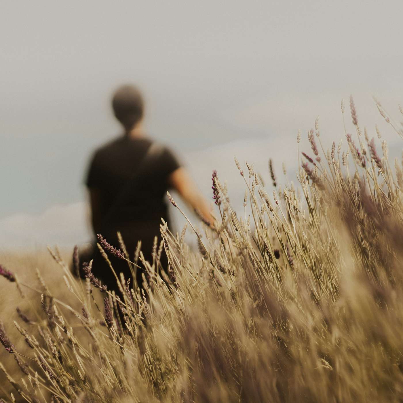 Følg meg | del 2 | Sølve Salte Følg meg | del 2 | Sølve Salte