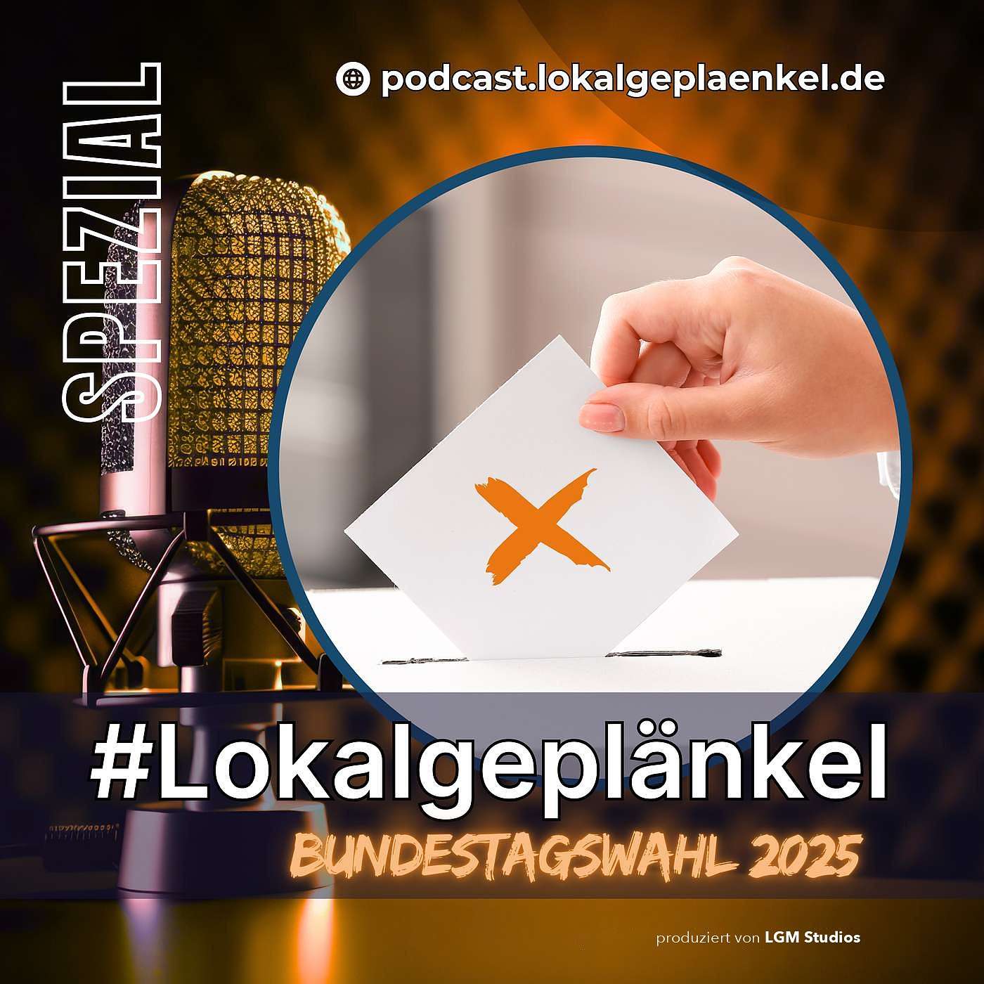 Bundestagswahl 2025: Die Direktkandidaten im Wahlkreis 58 episode artwork