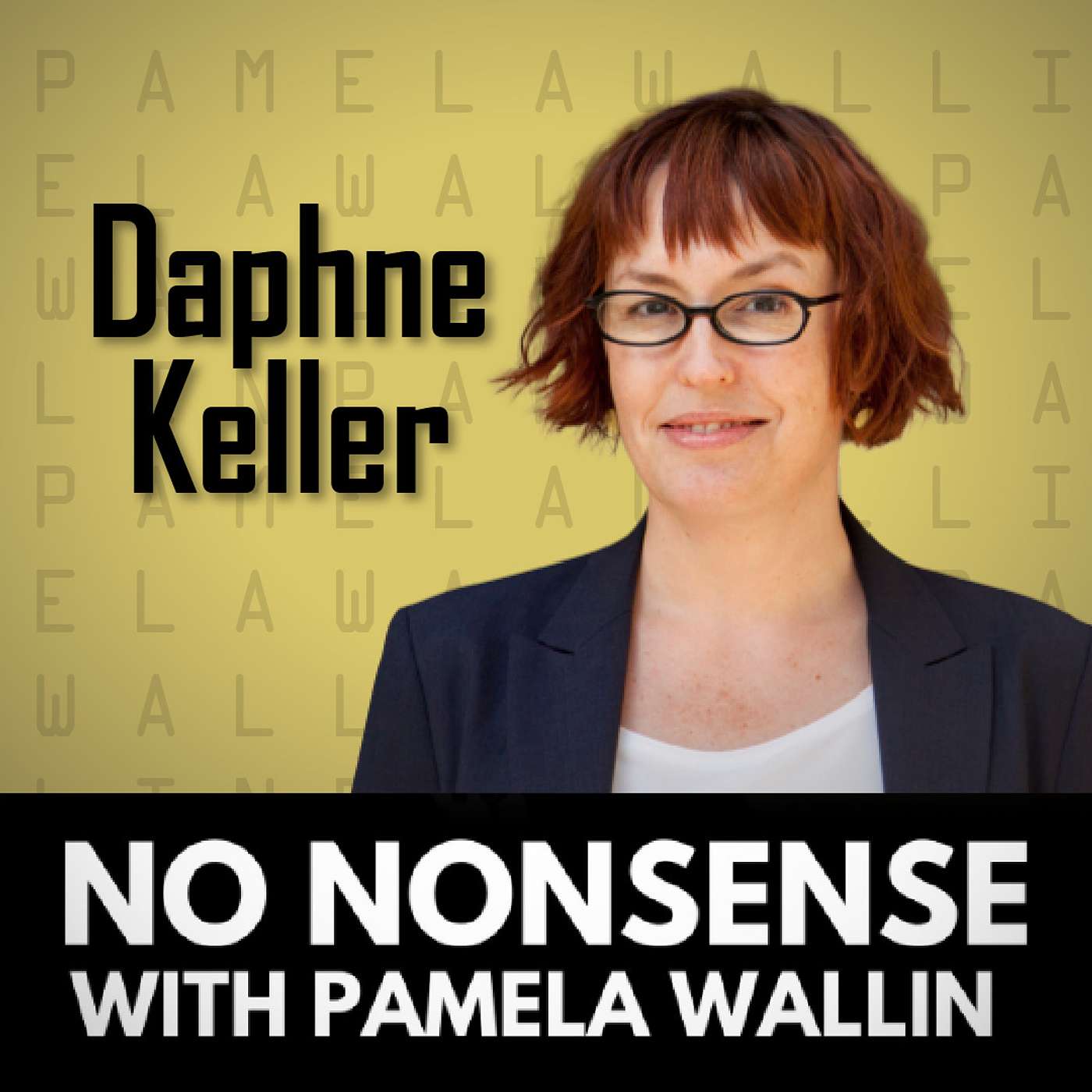 Internet Free Speech with Daphne Keller