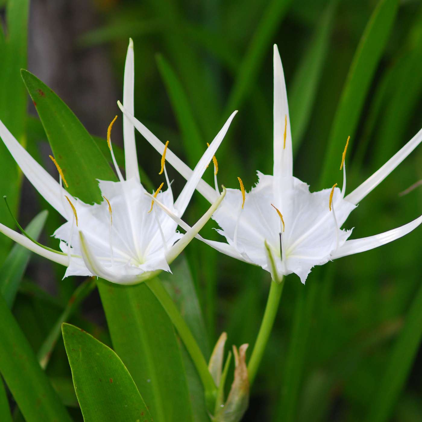 9. Why we care about plants