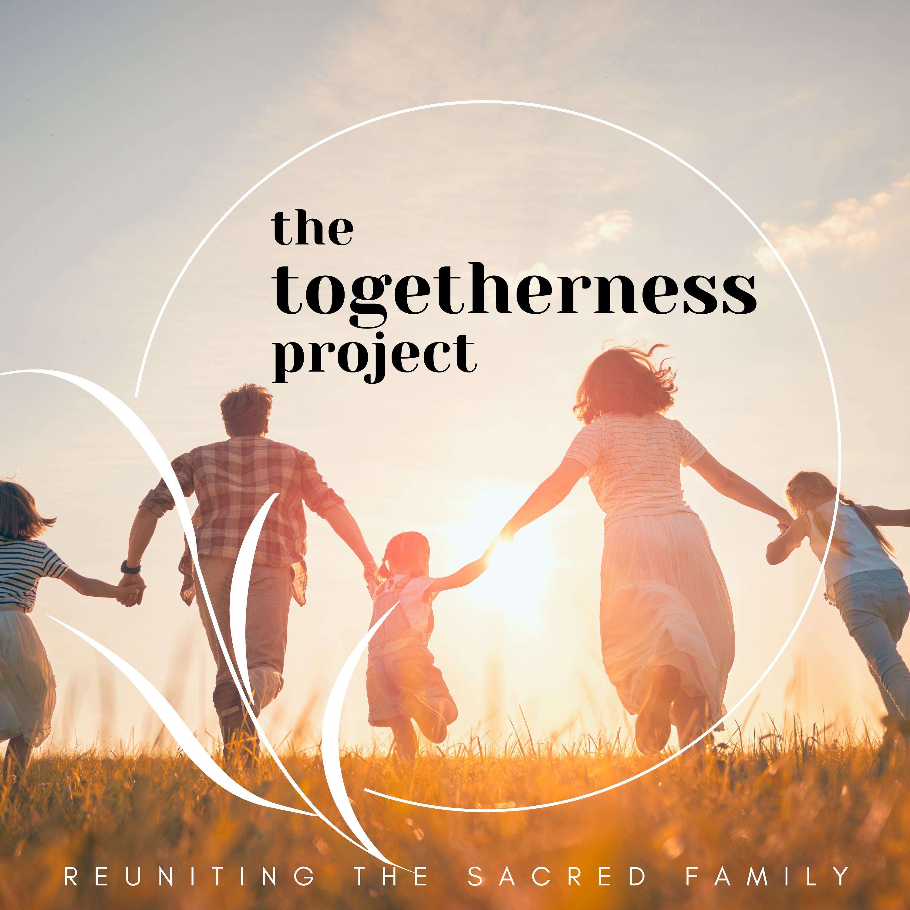 The Togetherness Project: Reuniting the Sacred Family cover art