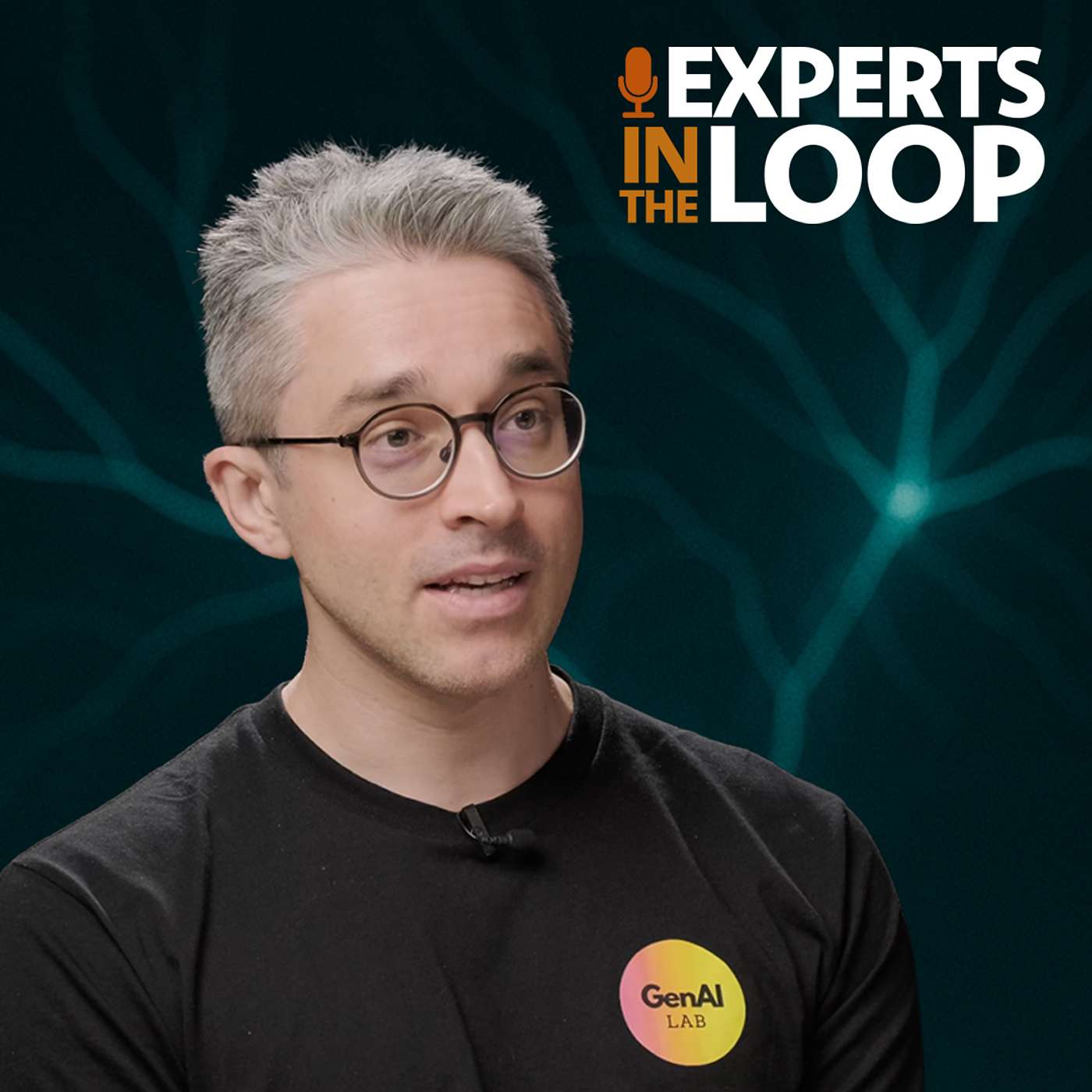 Experts in the Loop