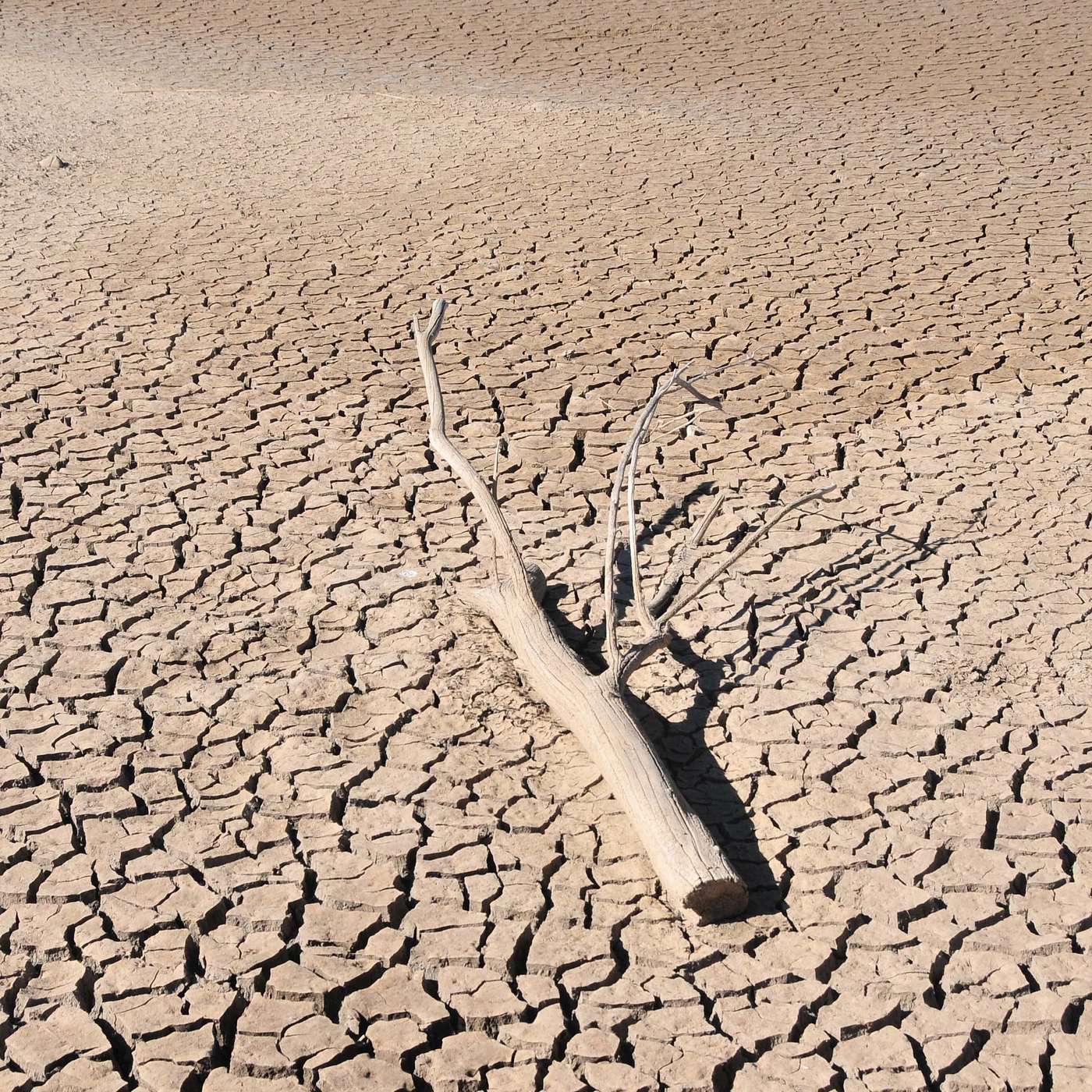 6. How we know climate change is real
