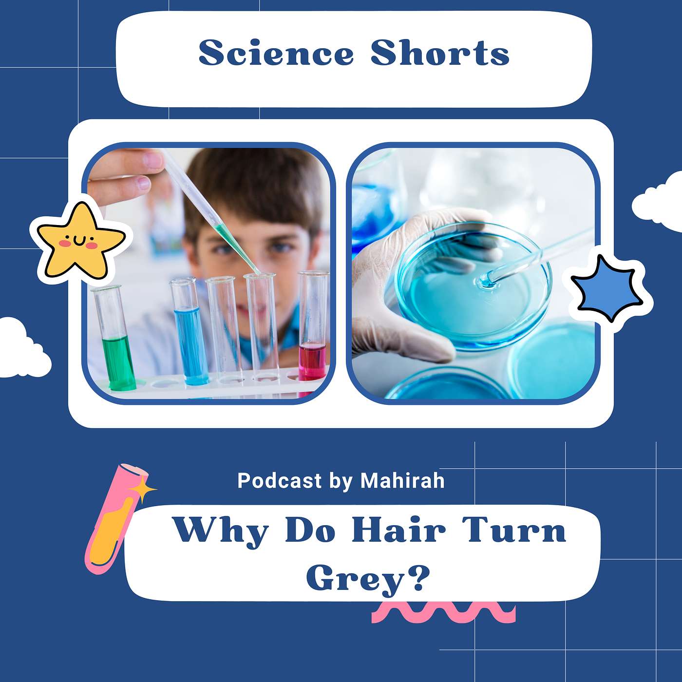 Why Do Hair Turn Grey? episode artwork