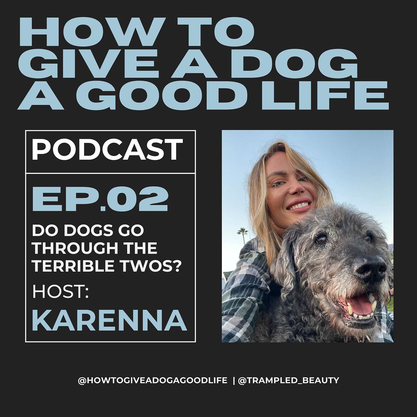 Do Dogs Go Through the Terrible Twos?